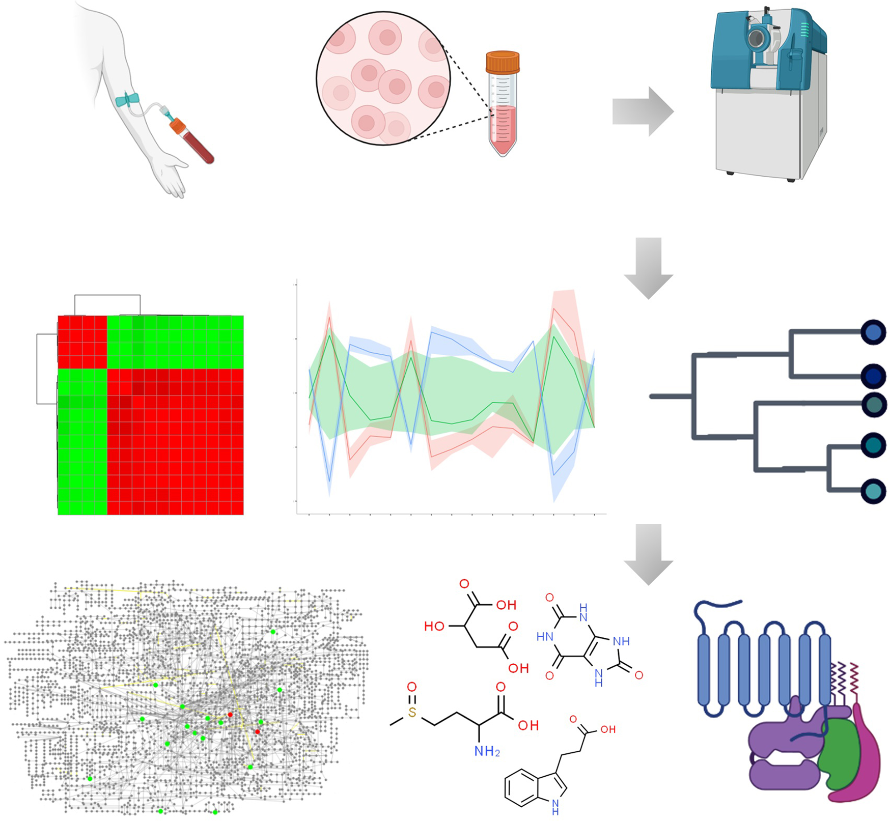 Synergy of Analytical Approaches Enables a Robust Assessment of