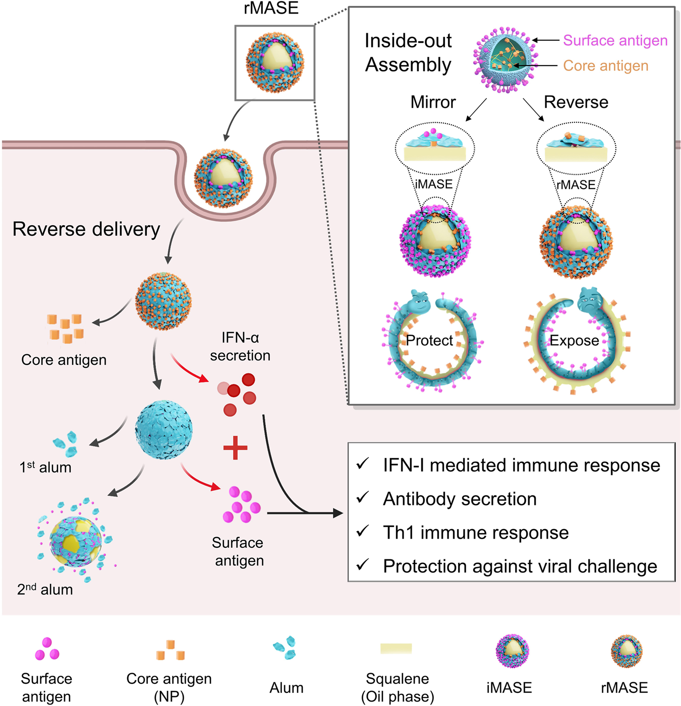 Rationally Designed Self-Assembling Nanovaccines Elicit Robust