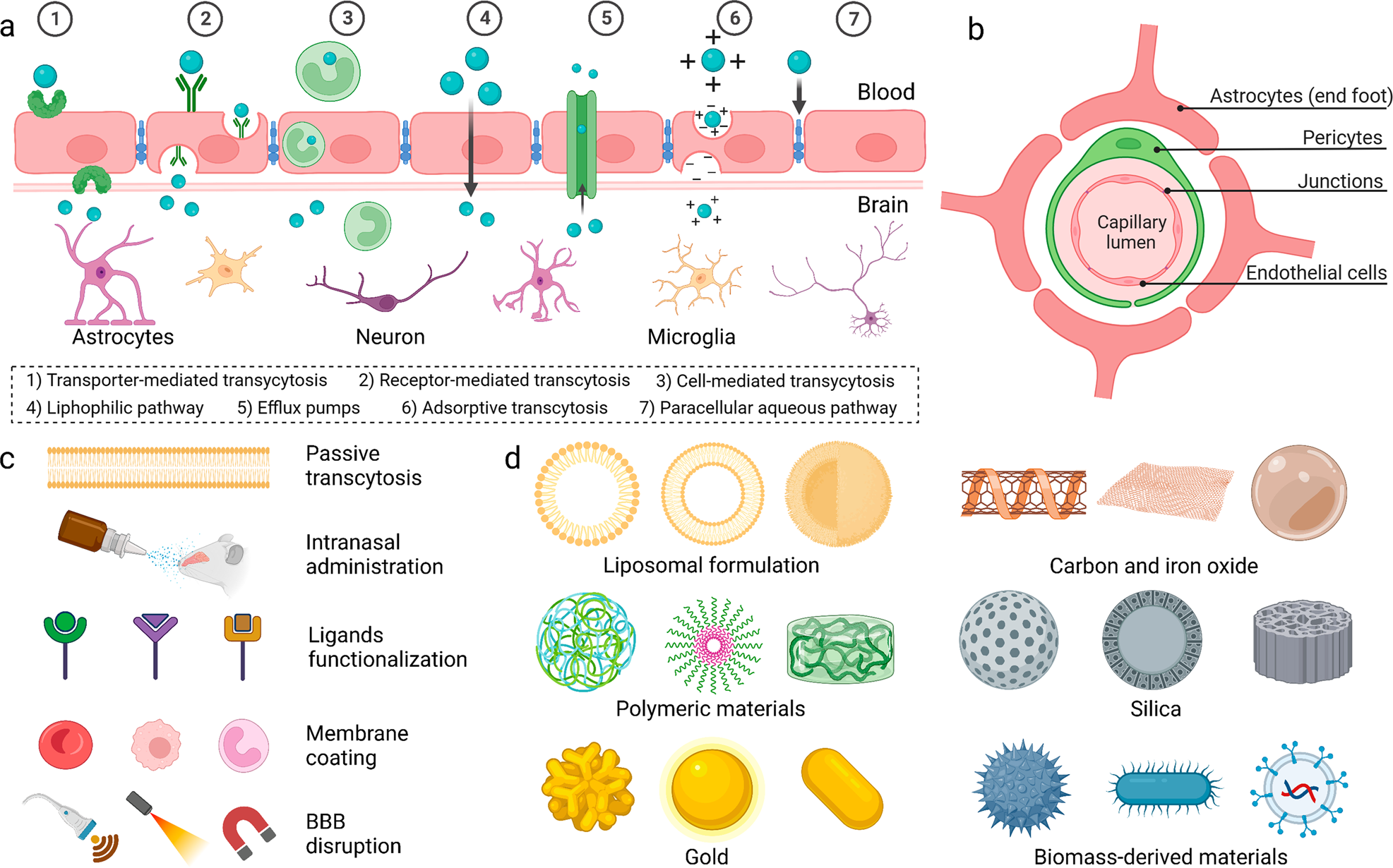 The blood–brain barrier: structure, regulation, and drug delivery | Signal  Transduction and Targeted Therapy