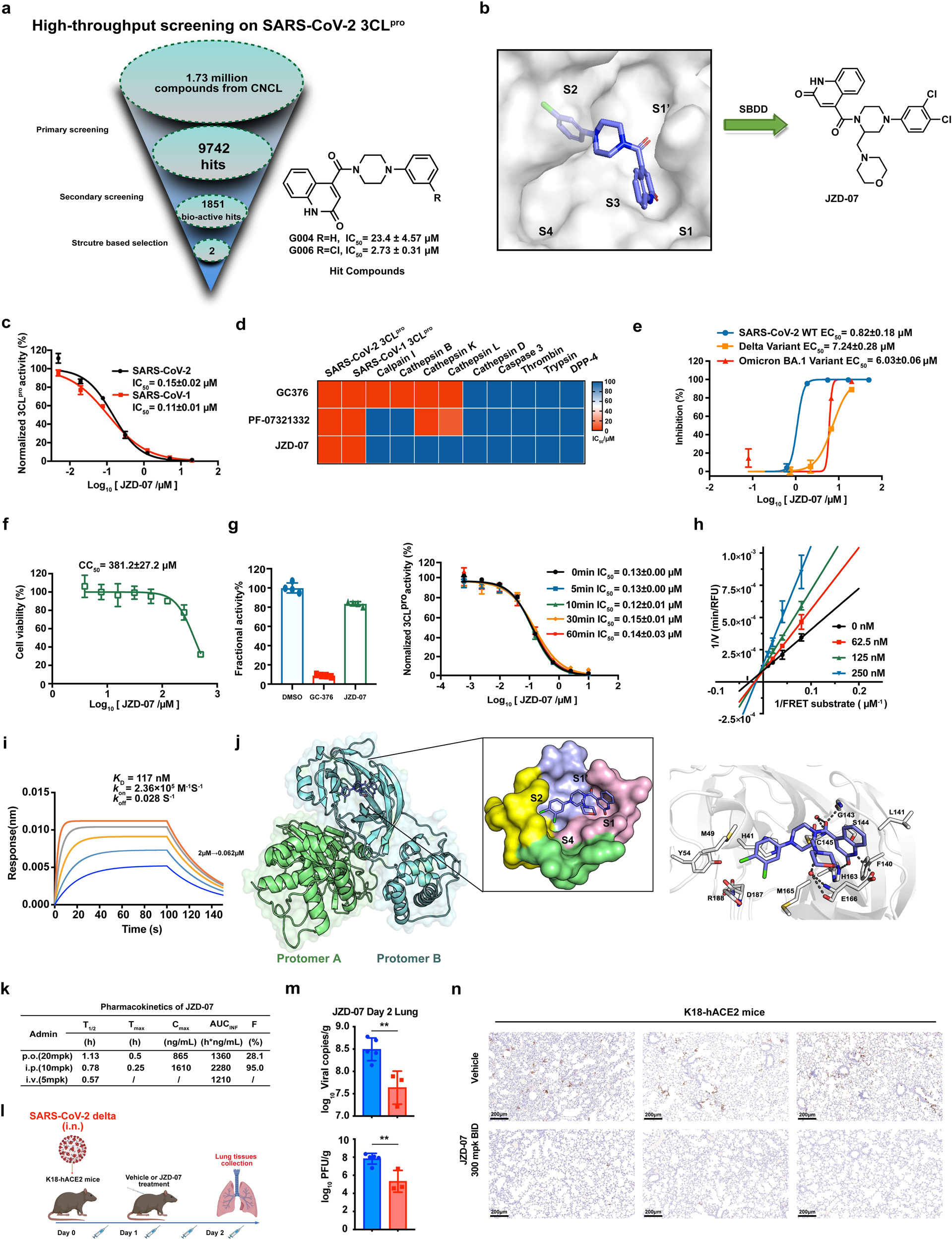 Potent Noncovalent Inhibitors of the Main Protease of SARS-CoV-2