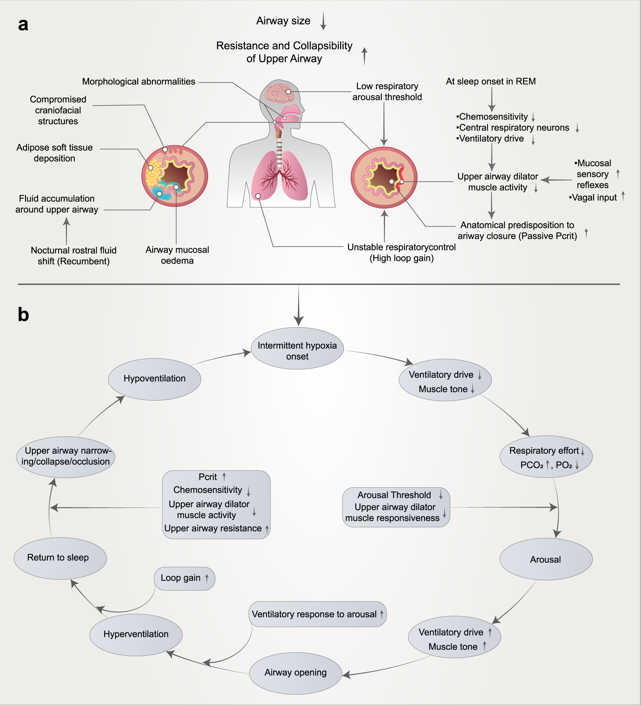 Full article: Measuring Responsiveness in the Therapeutic Relationship: A  Patient Perspective