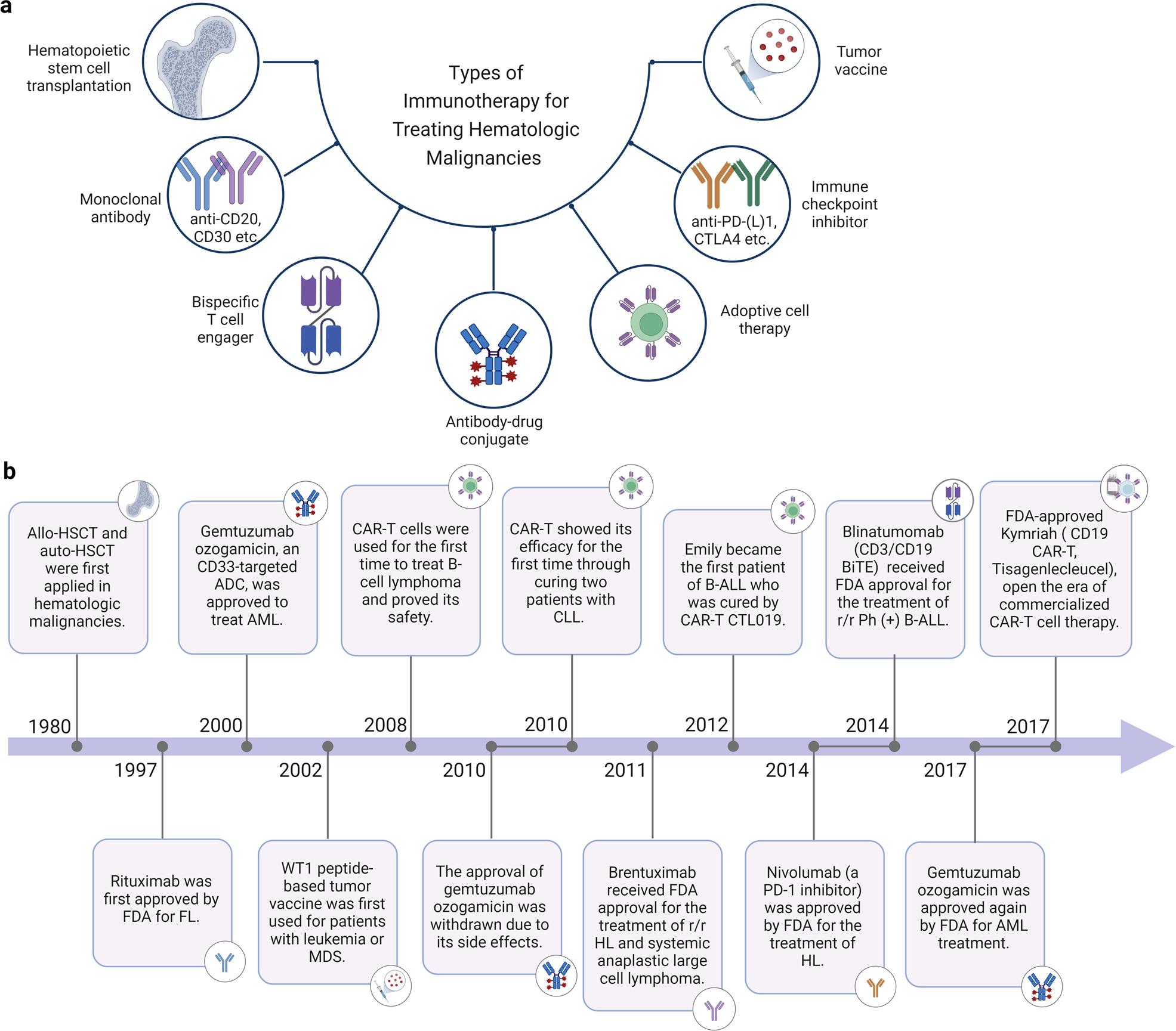 Immunotherapy in hematologic malignancies: achievements, challenges and  future prospects | Signal Transduction and Targeted Therapy