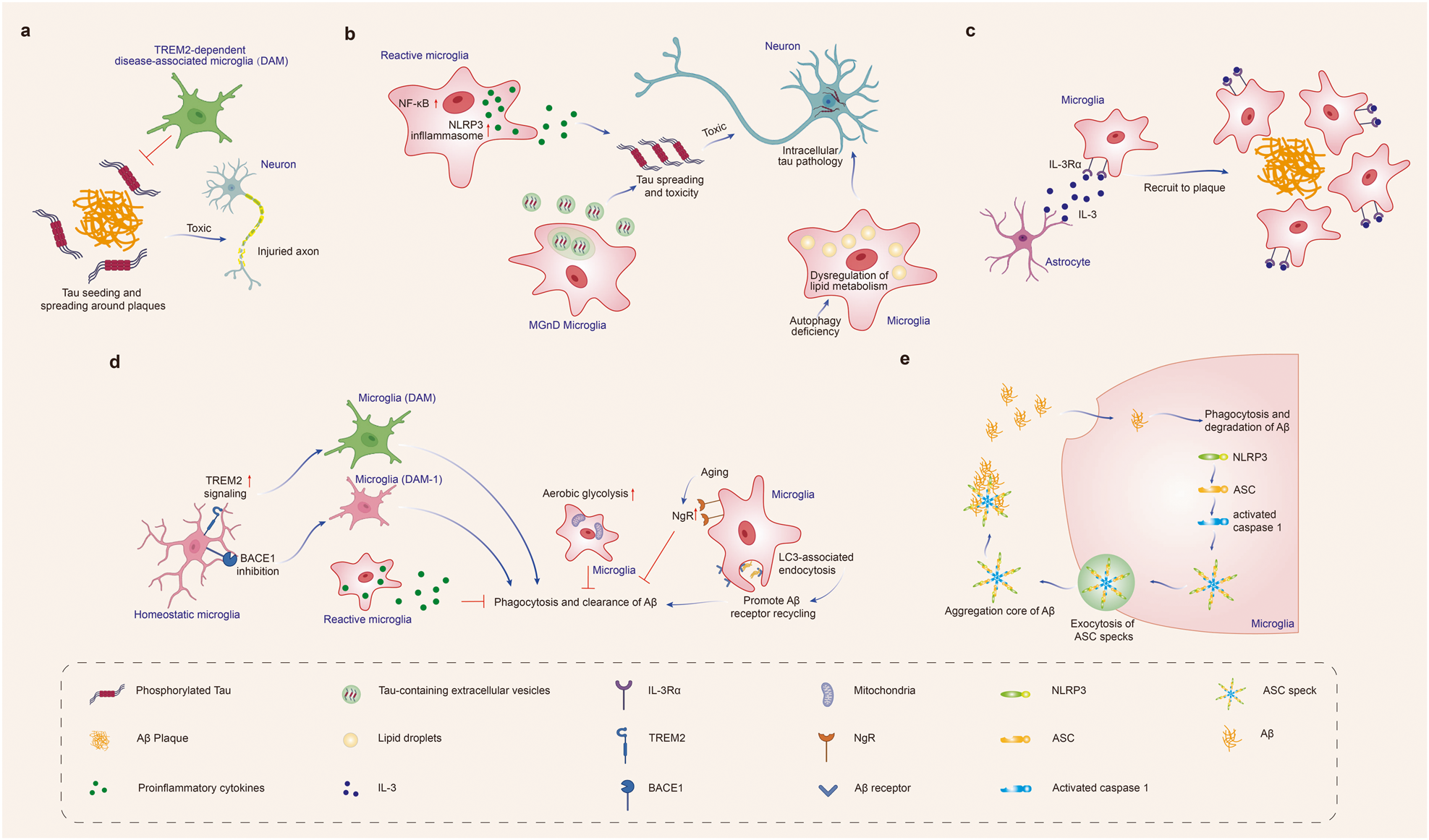 https://media.springernature.com/full/springer-static/image/art%3A10.1038%2Fs41392-023-01588-0/MediaObjects/41392_2023_1588_Fig1_HTML.png