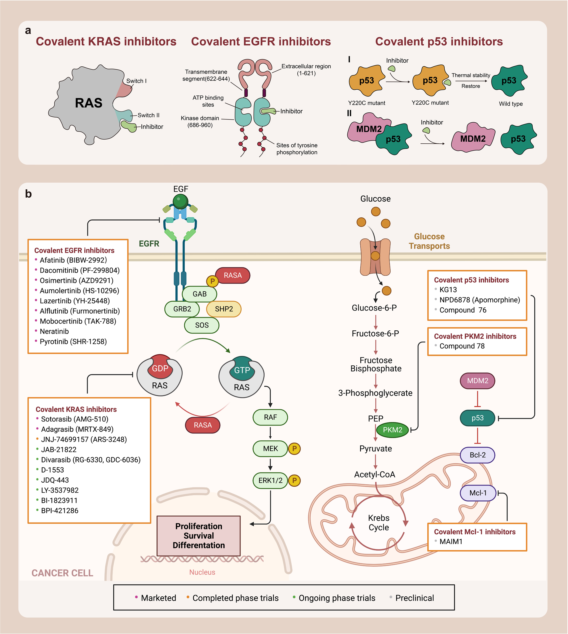 Advances in the Development of Nonpeptide Small Molecules