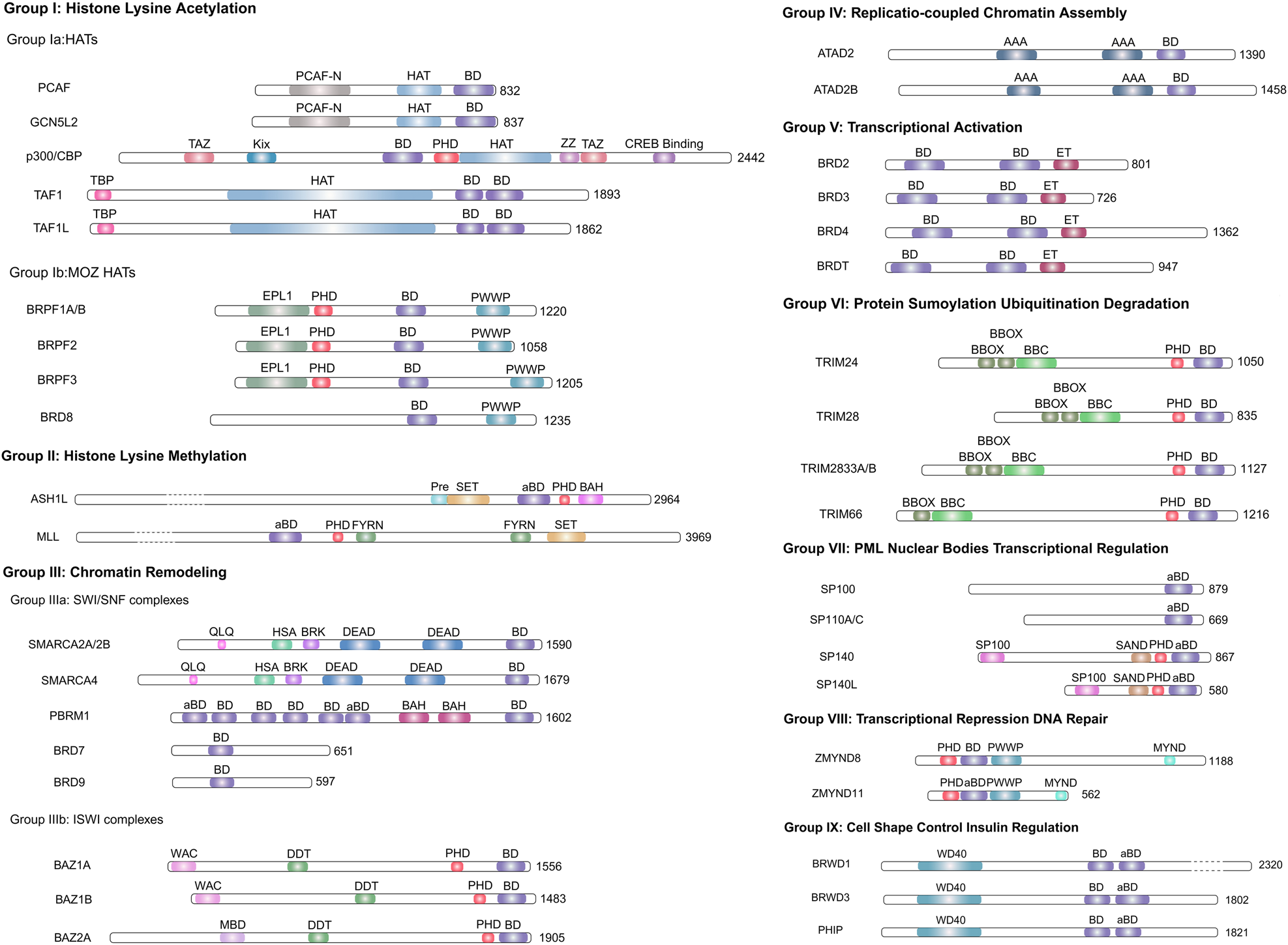 ADVANCED GUIDE(GEN UPGRADE, SUBCLASSES, AUGMENTS..)