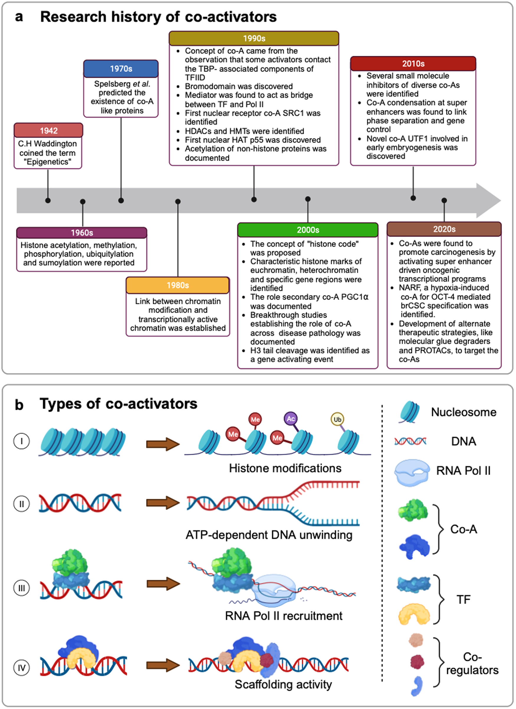 Transcriptional co-activators: emerging roles in signaling pathways and  potential therapeutic targets for diseases | Signal Transduction and  Targeted Therapy