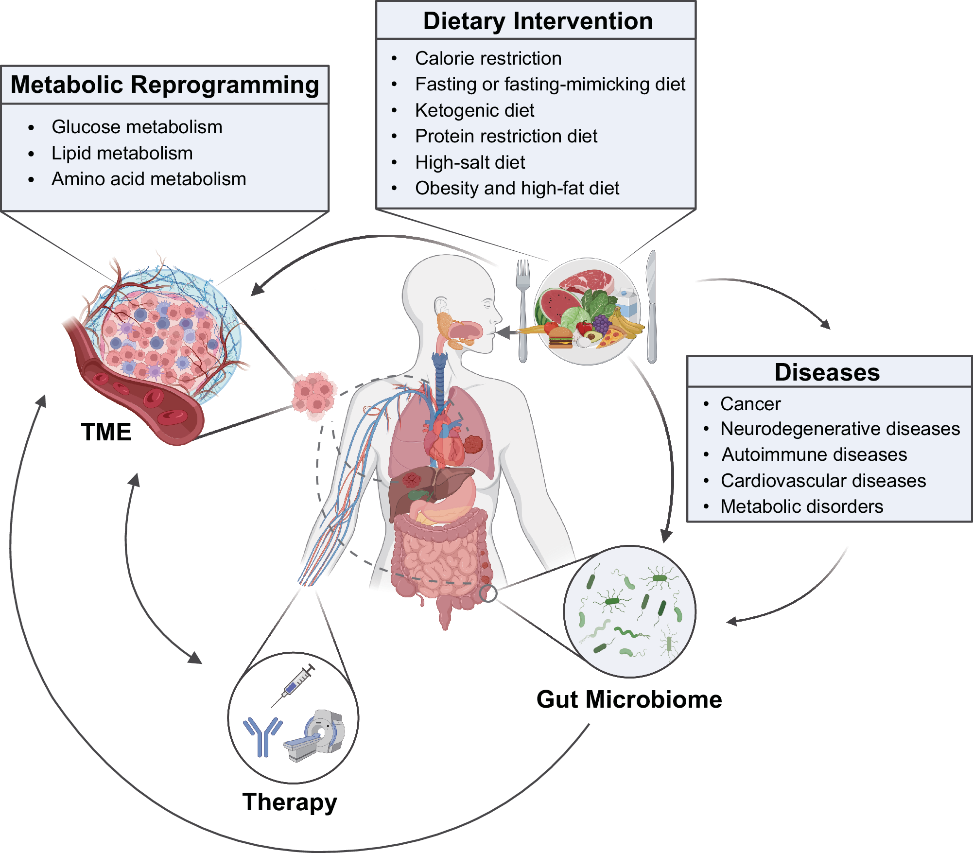Effects of dietary intervention on human diseases: molecular 