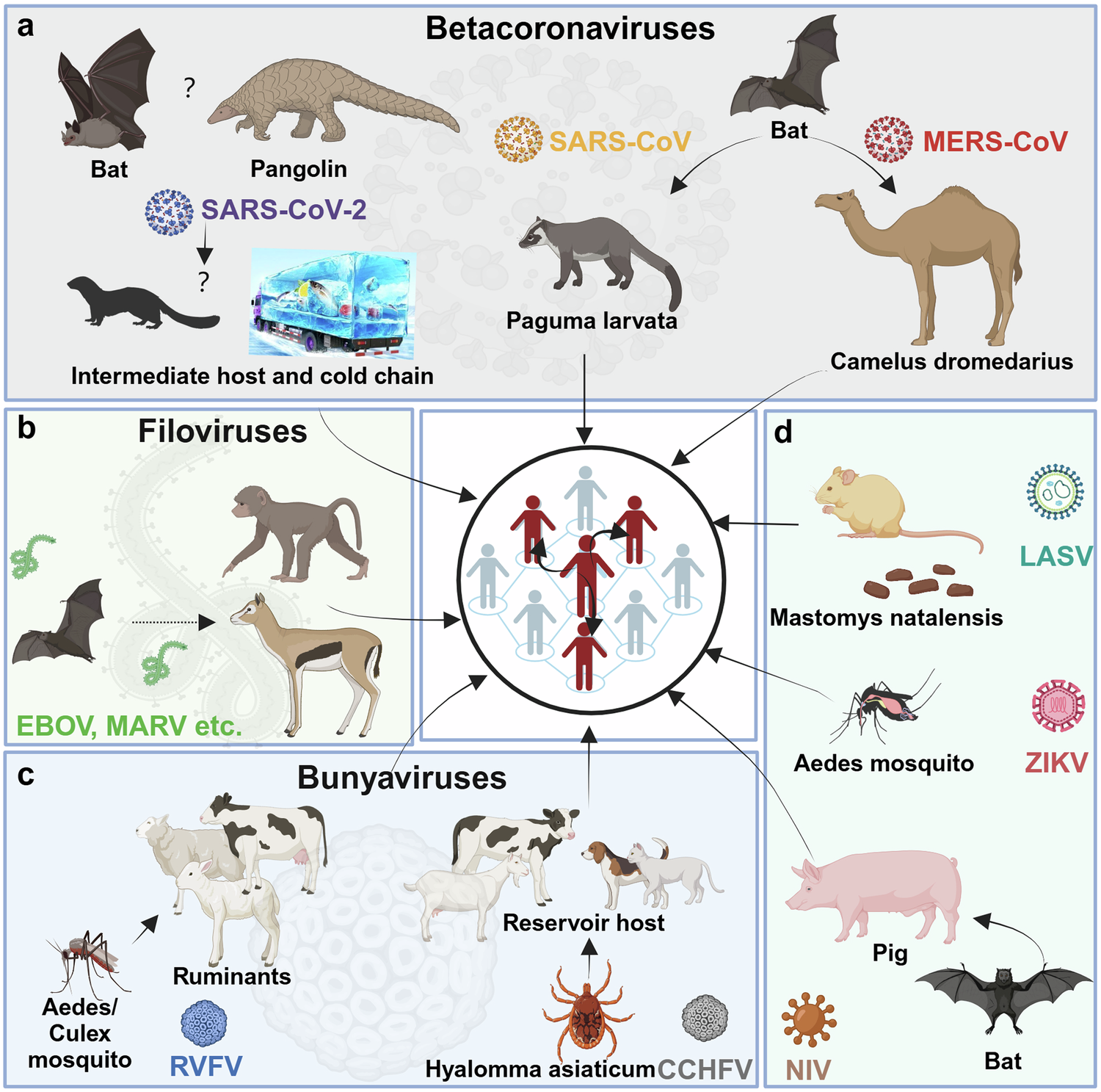 Emerging and reemerging infectious diseases: global trends and new  strategies for their prevention and control | Signal Transduction and  Targeted Therapy
