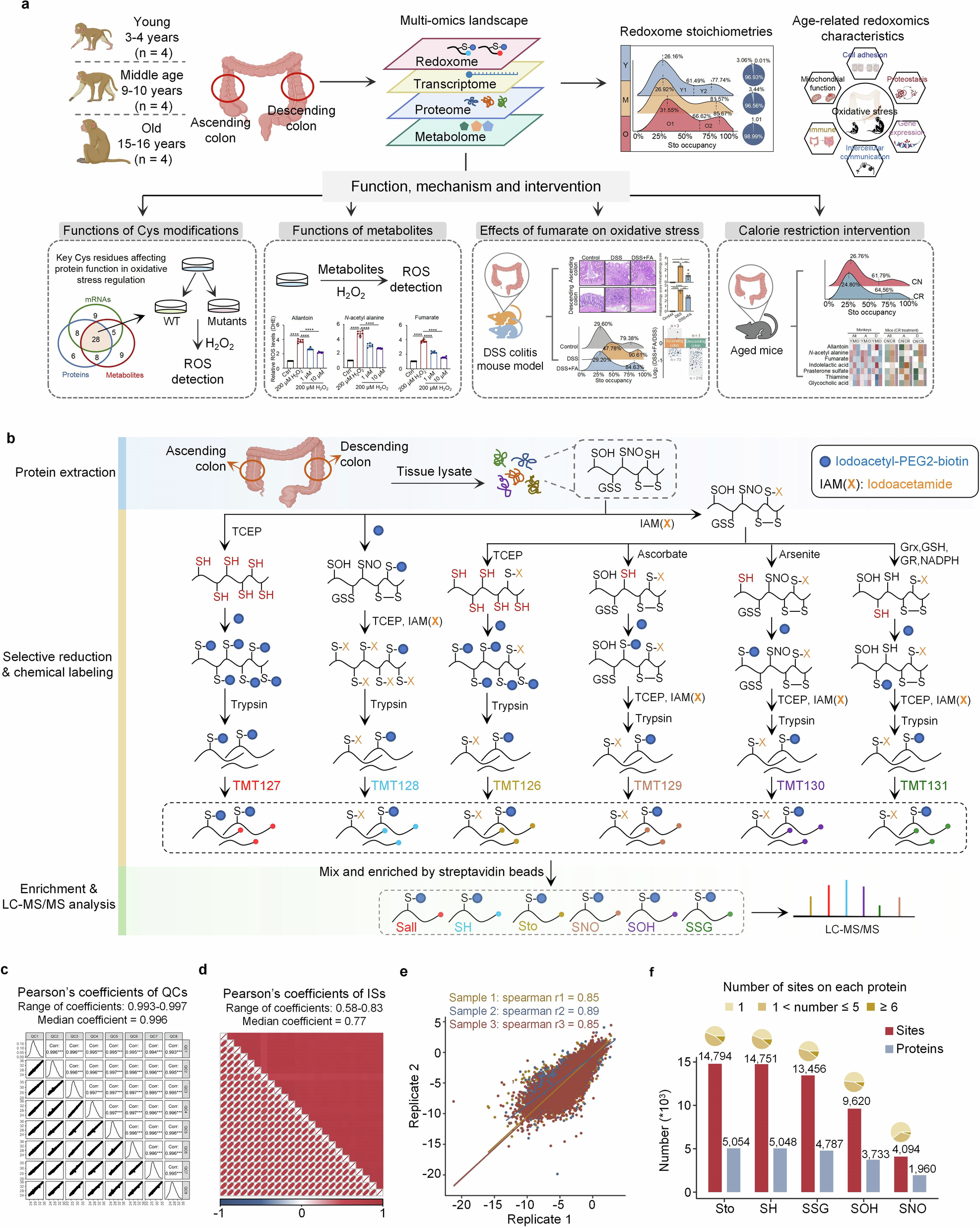 cjc-1295 ipamorelin safety older adults The Role of Peptides in Anti-Aging -Pulse & Remedy