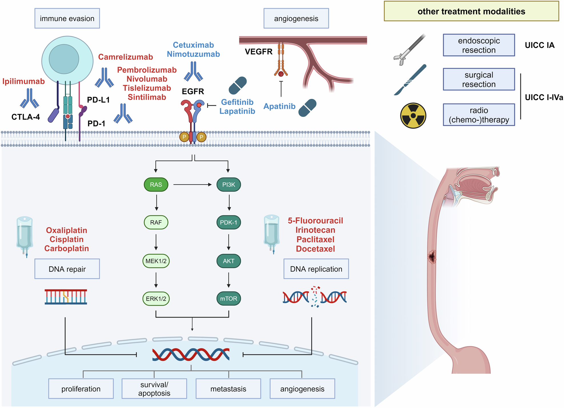 Strategy&Tactics#281/IN COUNTRY:THE VIETNAM WAR/日本語訳付き・未切断 Strategy \u0026 Tactics Issue #281 (Special Edition) - Game Edition