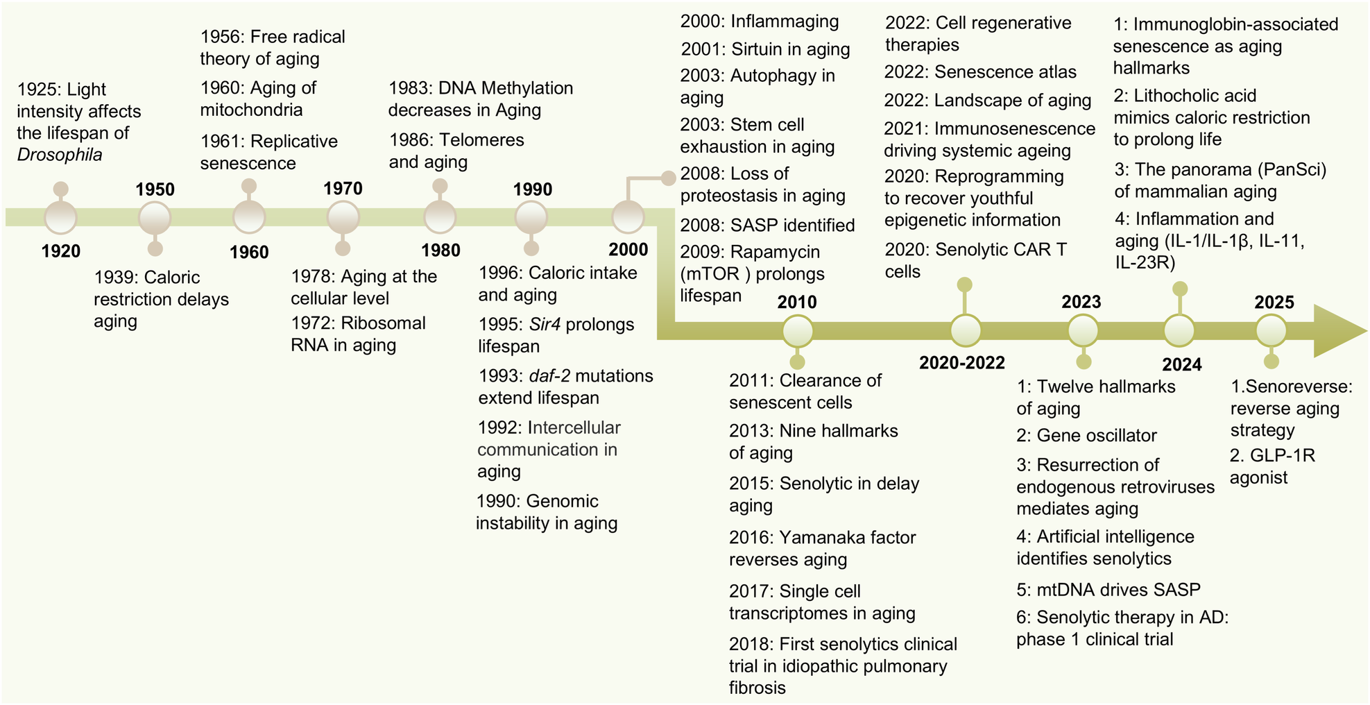 Insights into the therapeutic strategies for aging and aging-associated diseases | Signal Transduction and Targeted Therapy Insights into the therapeutic strategies for aging and aging-associated diseases | Signal Transduction and Targeted Therapy
