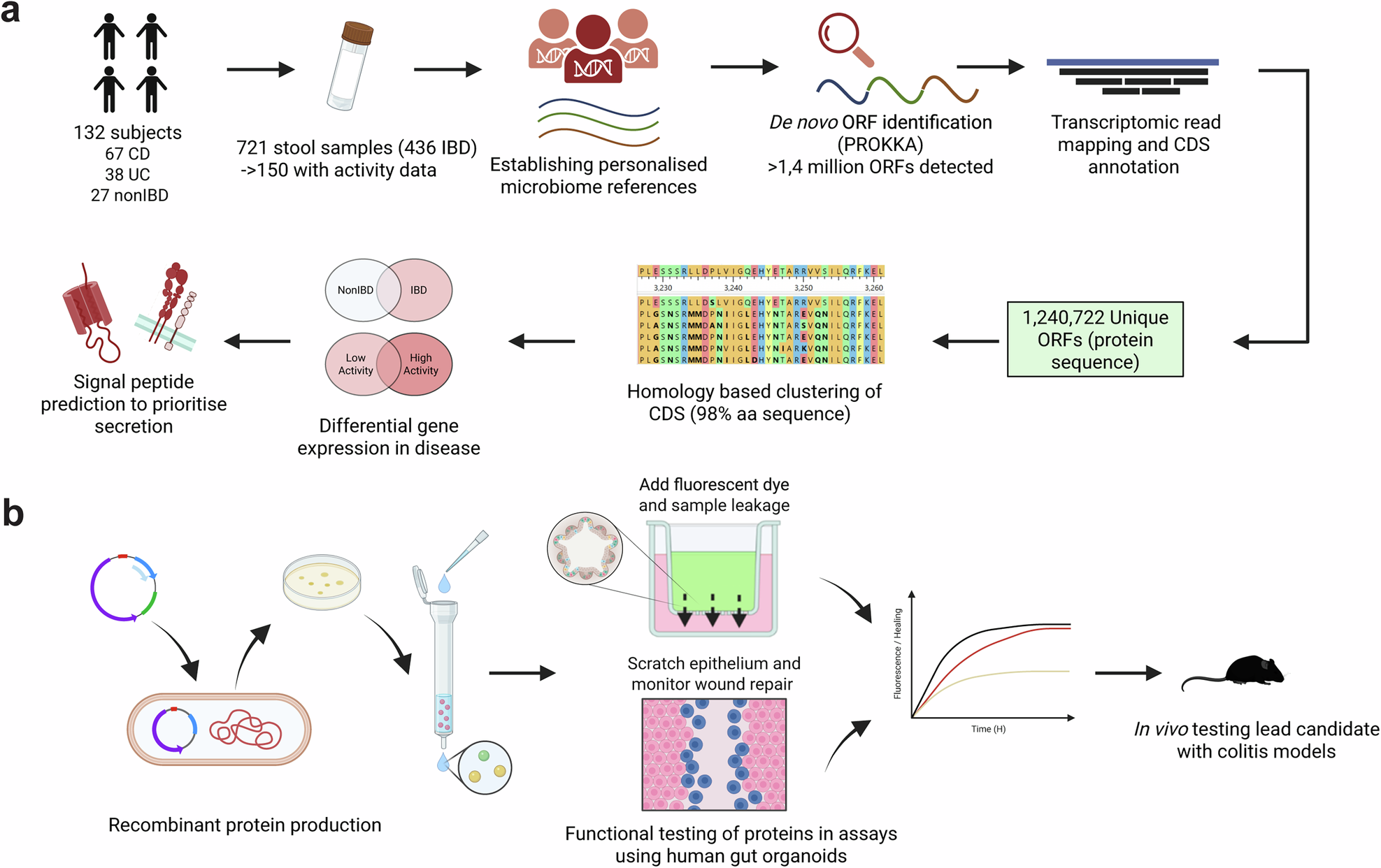 A microbiome meta-transcriptomics pipeline identifies a neutrophil elastase inhibitor that protects the colonic epithelial barrier