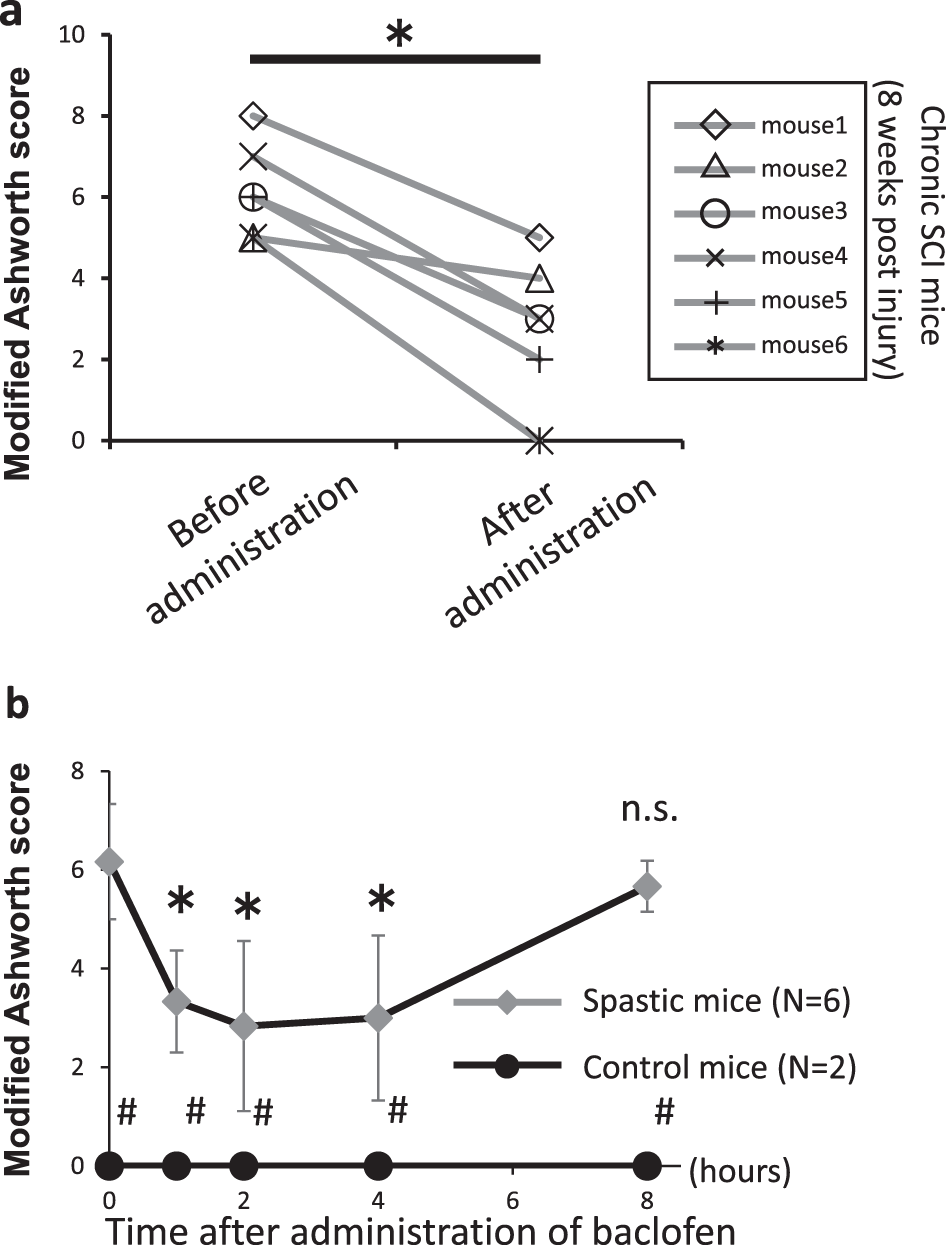 The Beneficial Aspects Of Spasticity In Relation To Ambulatory