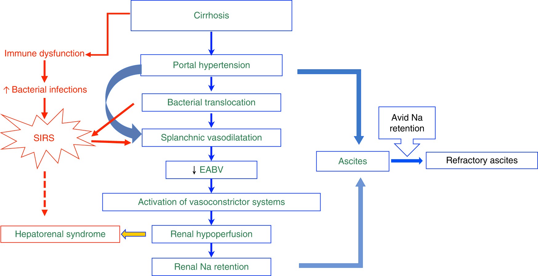 refractory ascites in liver