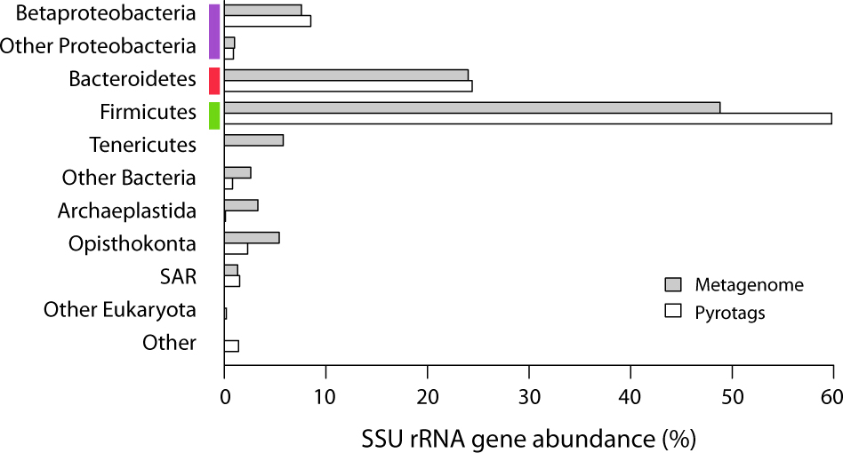 Metagenomics Reveals Functional Synergy And Novel Polysaccharide Metagenomics Reveals Functional Synergy And Novel Polysaccharide Utilization Loci In The Castor Canadensis Microbiome Isme Journal