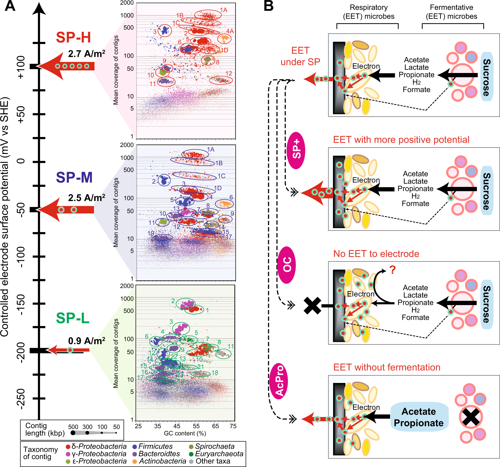 MEEP - Microbial/Enzymatic Electrochemistry Platform: Downloads : European  Fuel Cell Forum