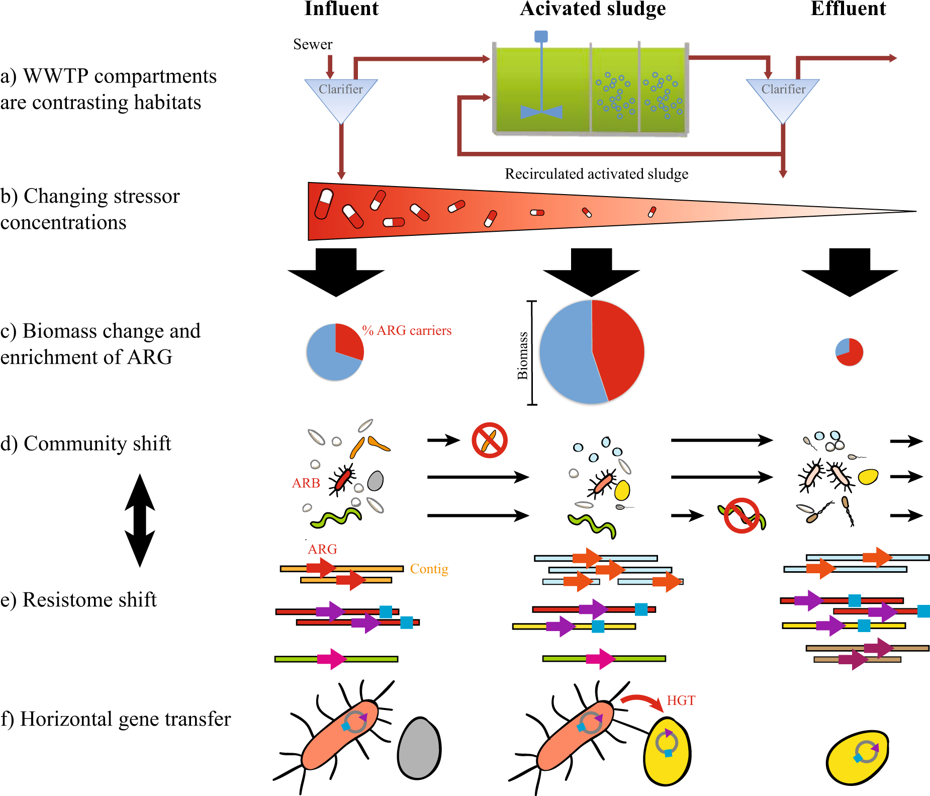 Wastewater treatment plant resistomes are shaped by bacterial composition,  genetic exchange, and upregulated expression in the effluent microbiomes |  The ...
