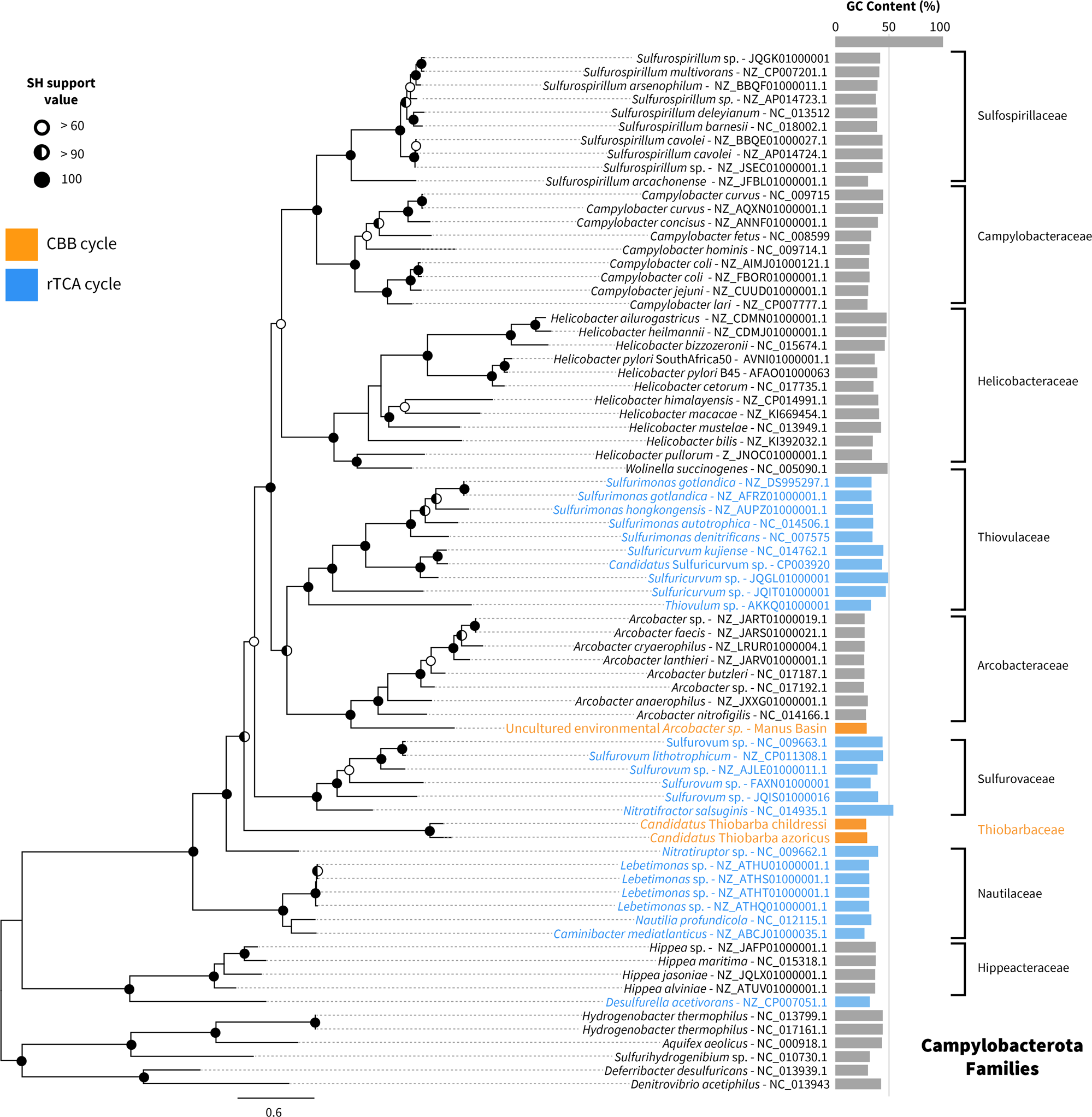 Horizontal Acquisition Of A Patchwork Calvin Cycle By Symbiotic