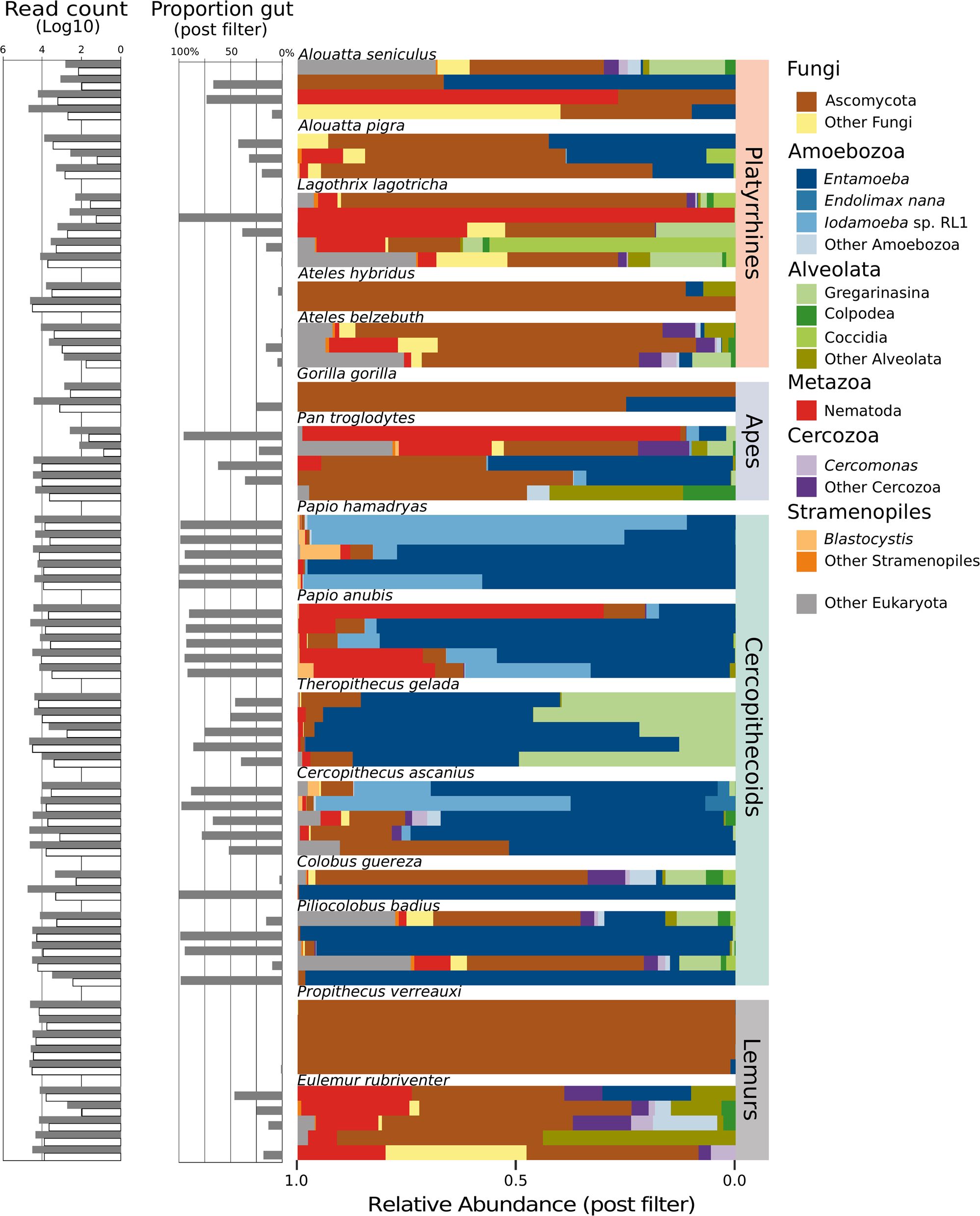 Queens College Step Test Results Chart