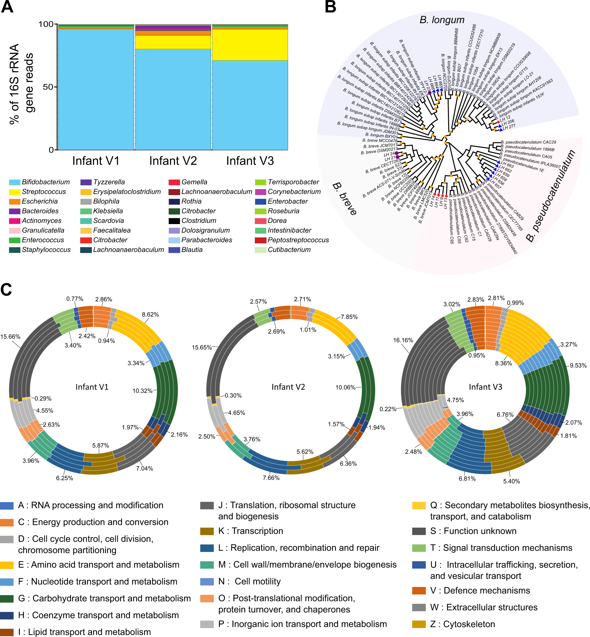 Characterization and Quantification of Oligosaccharides in Human Milk and  Infant Formula