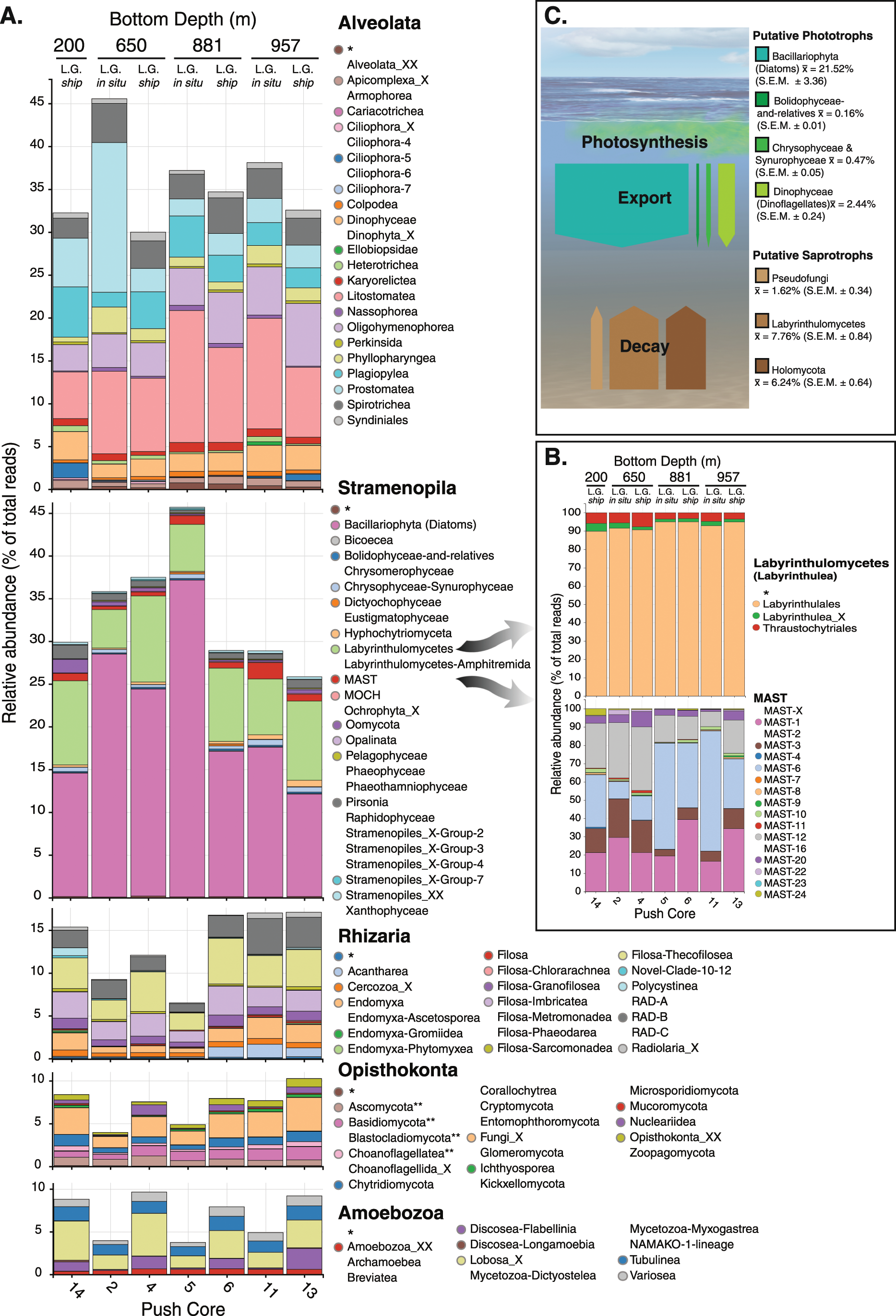 Fig. 3: Stacked bar chart showing relative abundance composition from a combination of sequencing run 1 and 2.