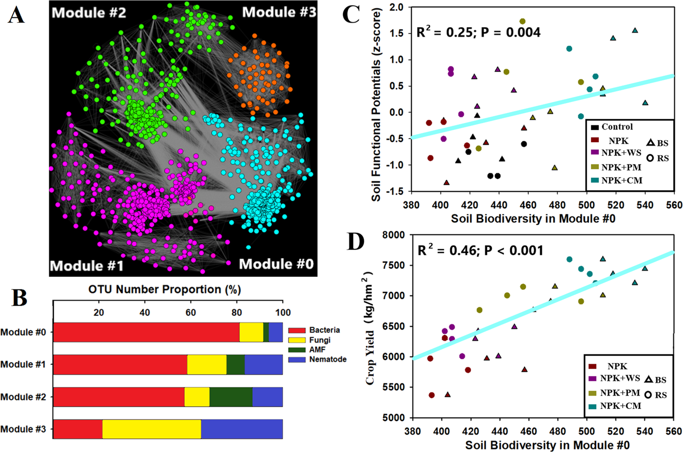 Biodiversity Of Key Stone Phylotypes Determines Crop Production In A 4 Decade Fertilization Experiment The Isme Journal