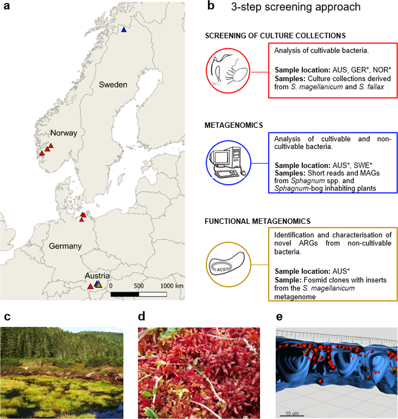 Plant Resistome Profiling In Evolutionary Old Bog Vegetation Provides New Clues To Understand Emergence Of Multi Resistance The Isme Journal