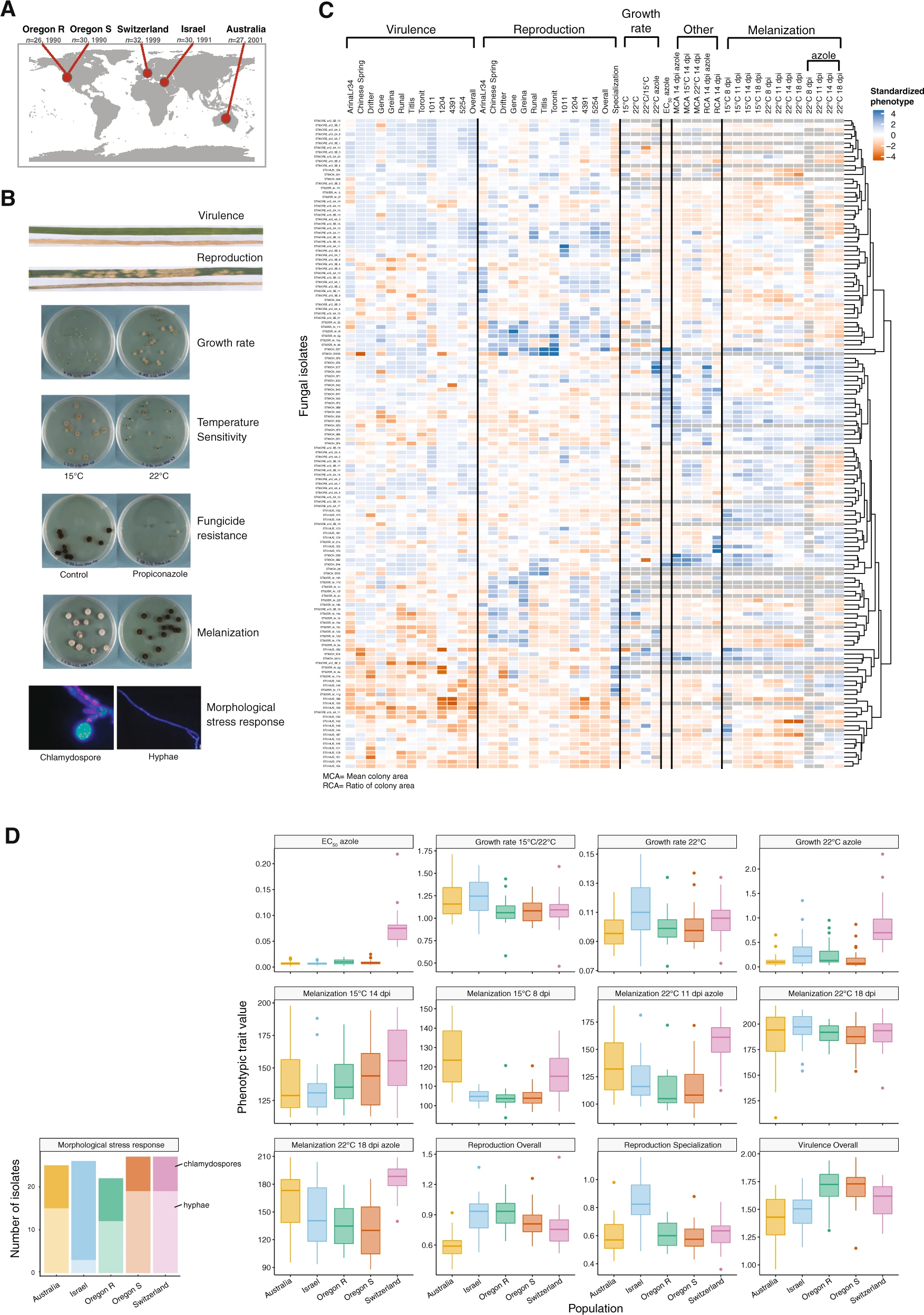 Mapping the adaptive landscape of a major agricultural pathogen reveals evolutionary constraints across heterogeneous environments