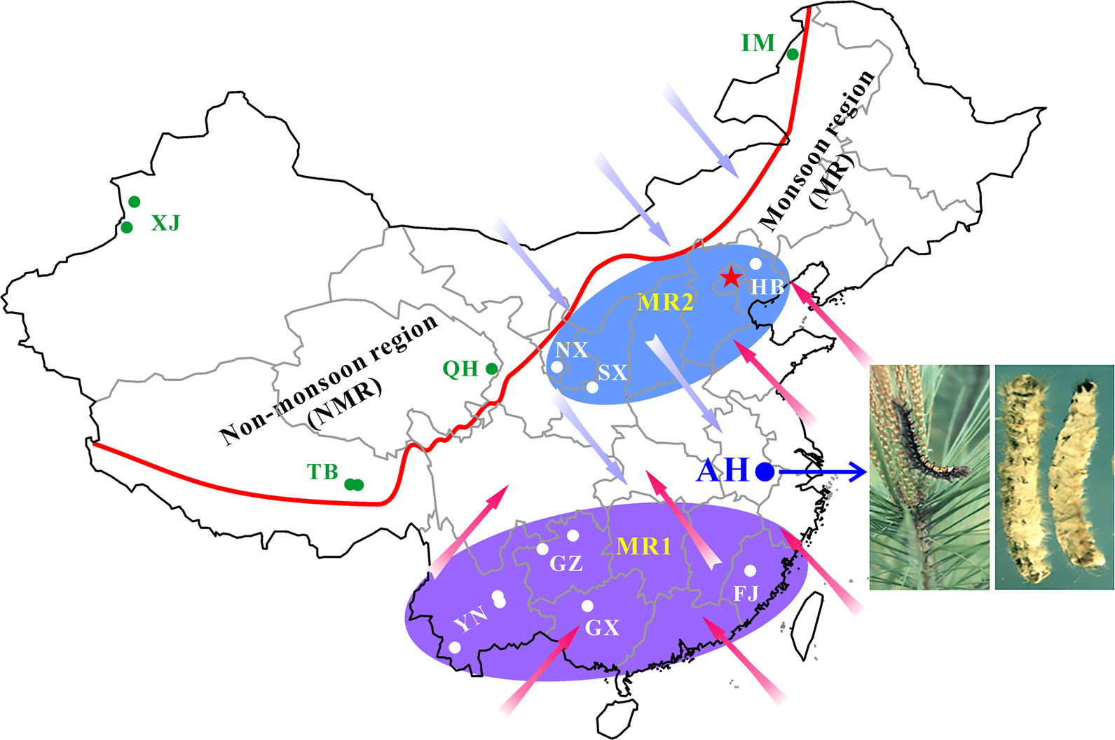 biocontrol agents patent trajectory fungal genome biocontrol agents patent trajectory fungal genome
