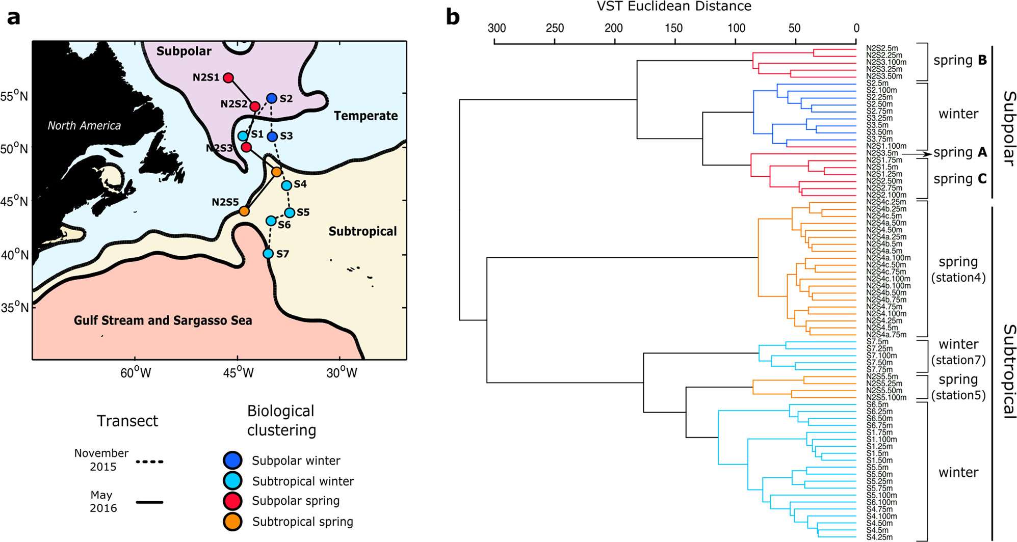 Small phytoplankton dominate western North Atlantic biomass | The ISME  Journal