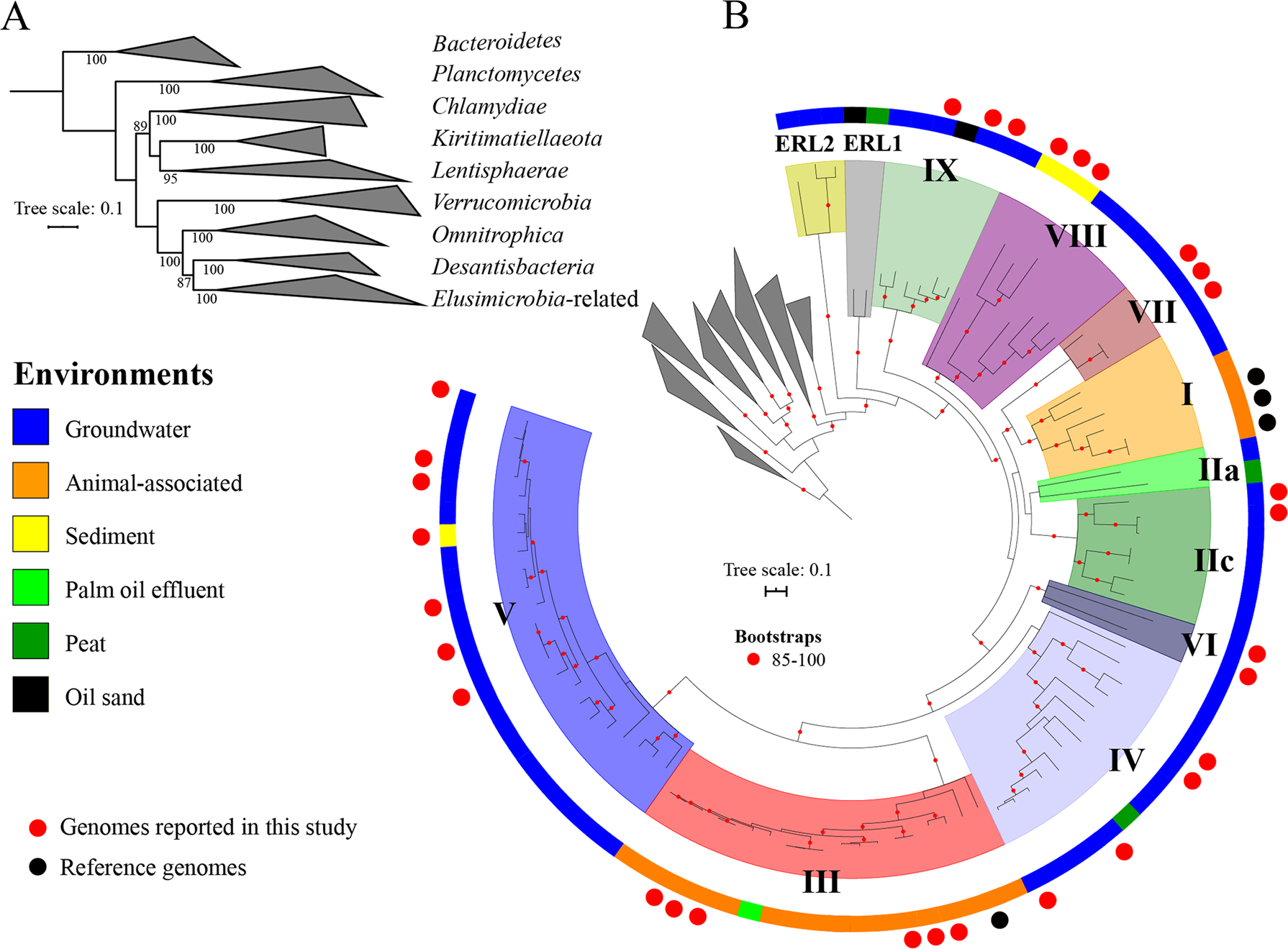 Groundwater Elusimicrobia Are Metabolically Diverse Compared To Gut Microbiome Elusimicrobia And Some Have A Novel Nitrogenase Paralog The Isme Journal