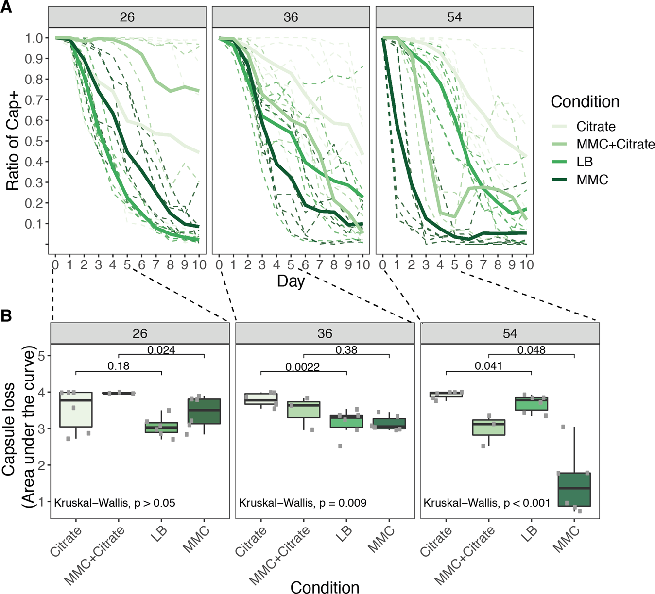 Fig. 6: Loss of capsule in three Klebsiella strains.