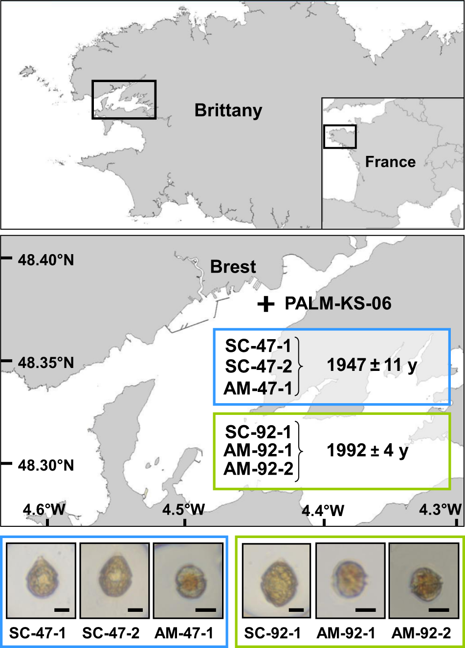 Hello we are my husband and I both bi citizen American and Italian. We  would like to know where there is the most of Americans in Italy. Let us  know in what, image size:951x1326