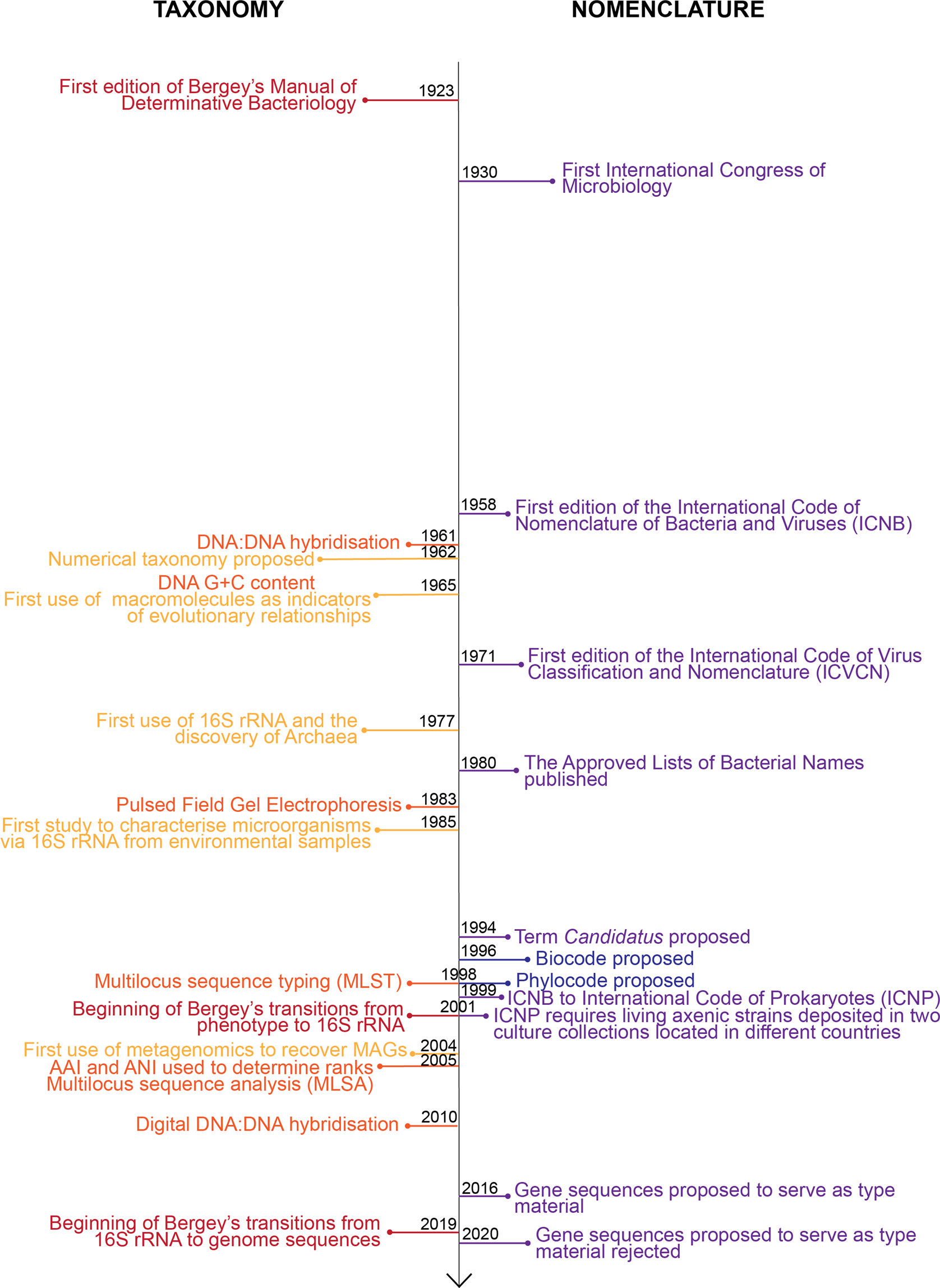 Prokaryotic taxonomy and nomenclature in the age of big sequence