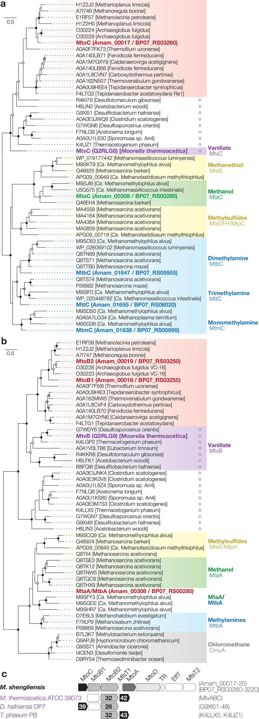 Methanogenic Archaea Use A Bacteria Like Methyltransferase System To Demethoxylate Aromatic Compounds The Isme Journal