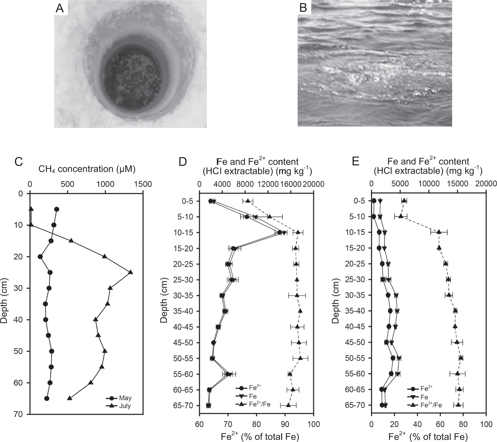 Metabolic flexibility of aerobic methanotrophs under anoxic conditions in  Arctic lake sediments