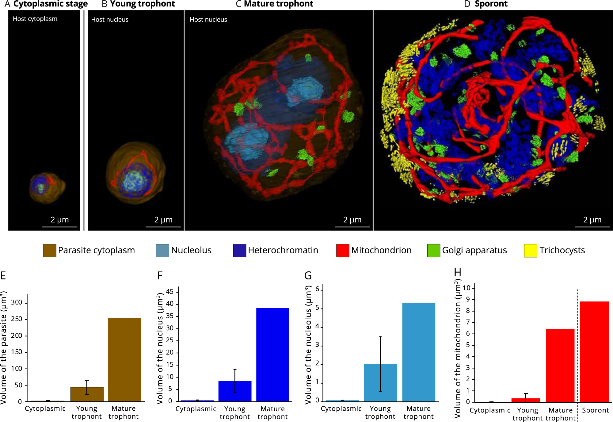 Intracellular development and impact of a marine eukaryotic parasite on its  zombified microalgal host | The ISME Journal