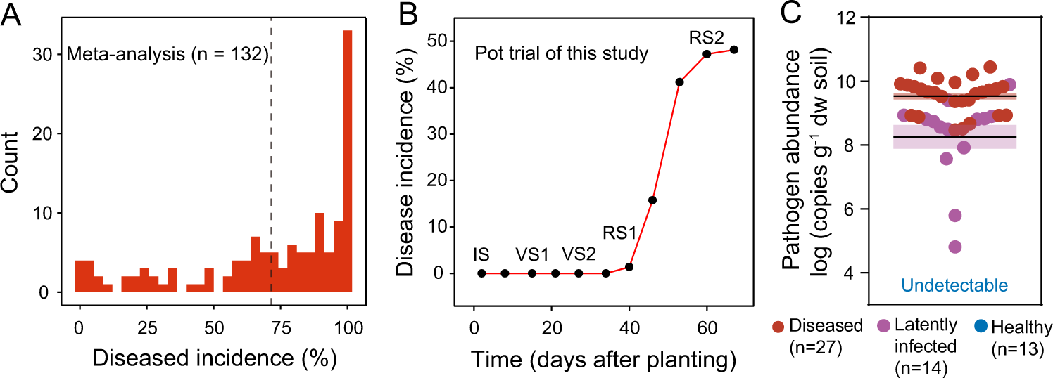 Fig. 2: Contrasting disease outcomes of tomato individuals under pathogen pressure.