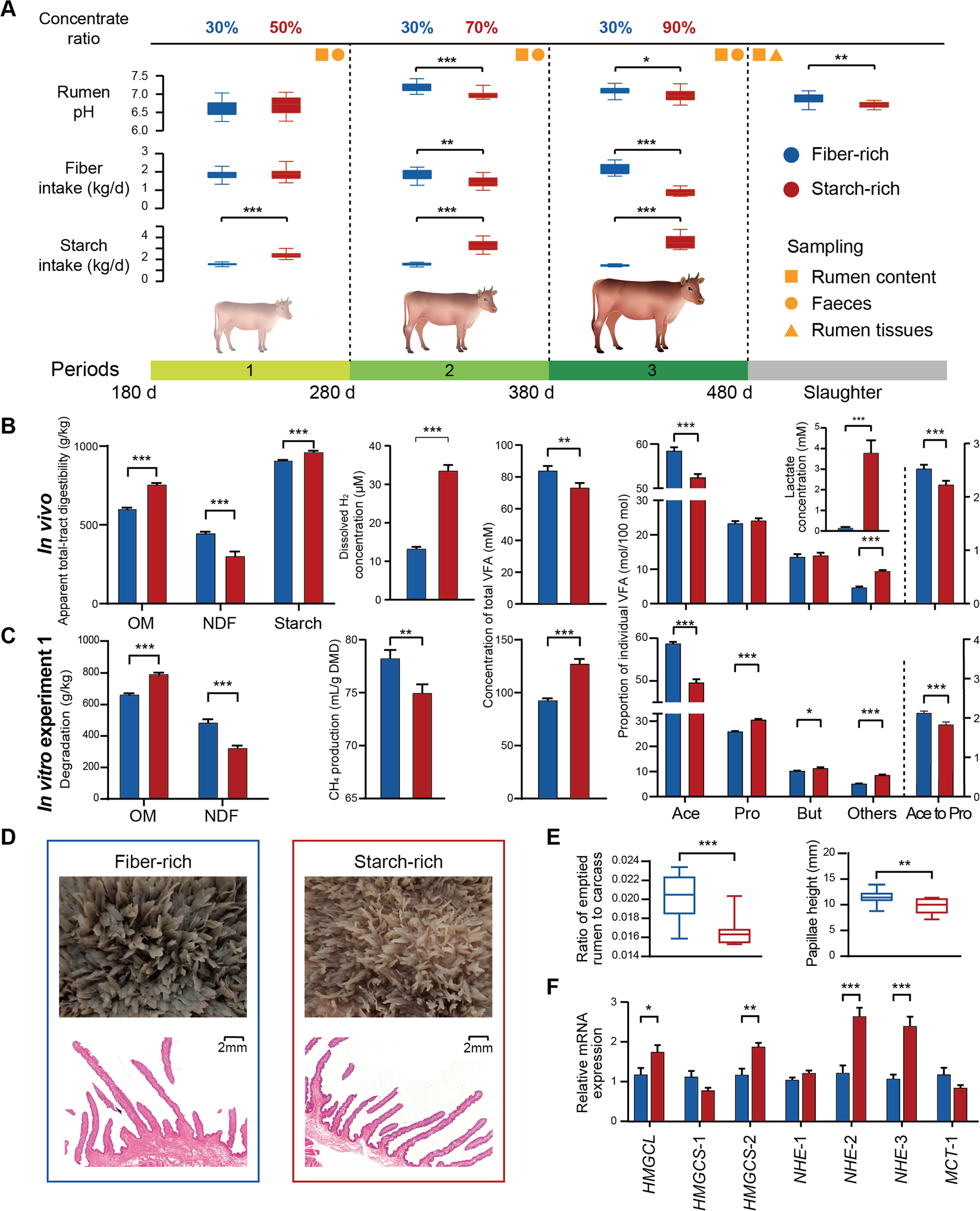 Dietary selection of metabolically distinct microorganisms drives hydrogen metabolism in ruminants | The ISME Journal Dietary selection of metabolically distinct microorganisms drives hydrogen metabolism in ruminants | The ISME Journal