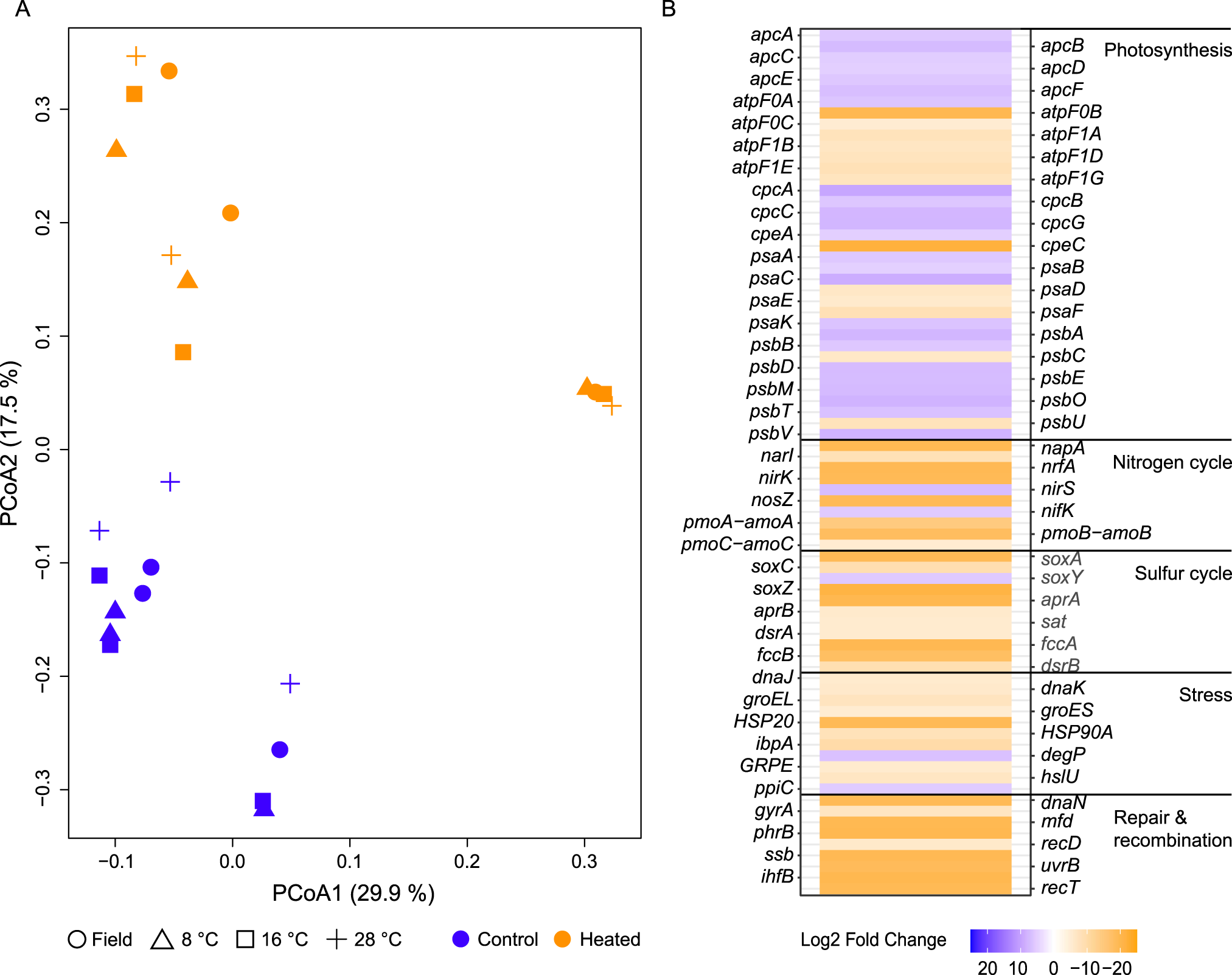 Fig. 7: PCoA of metatranscriptomic reads plus differential expression analysis of selected genes between the sediment field samples.