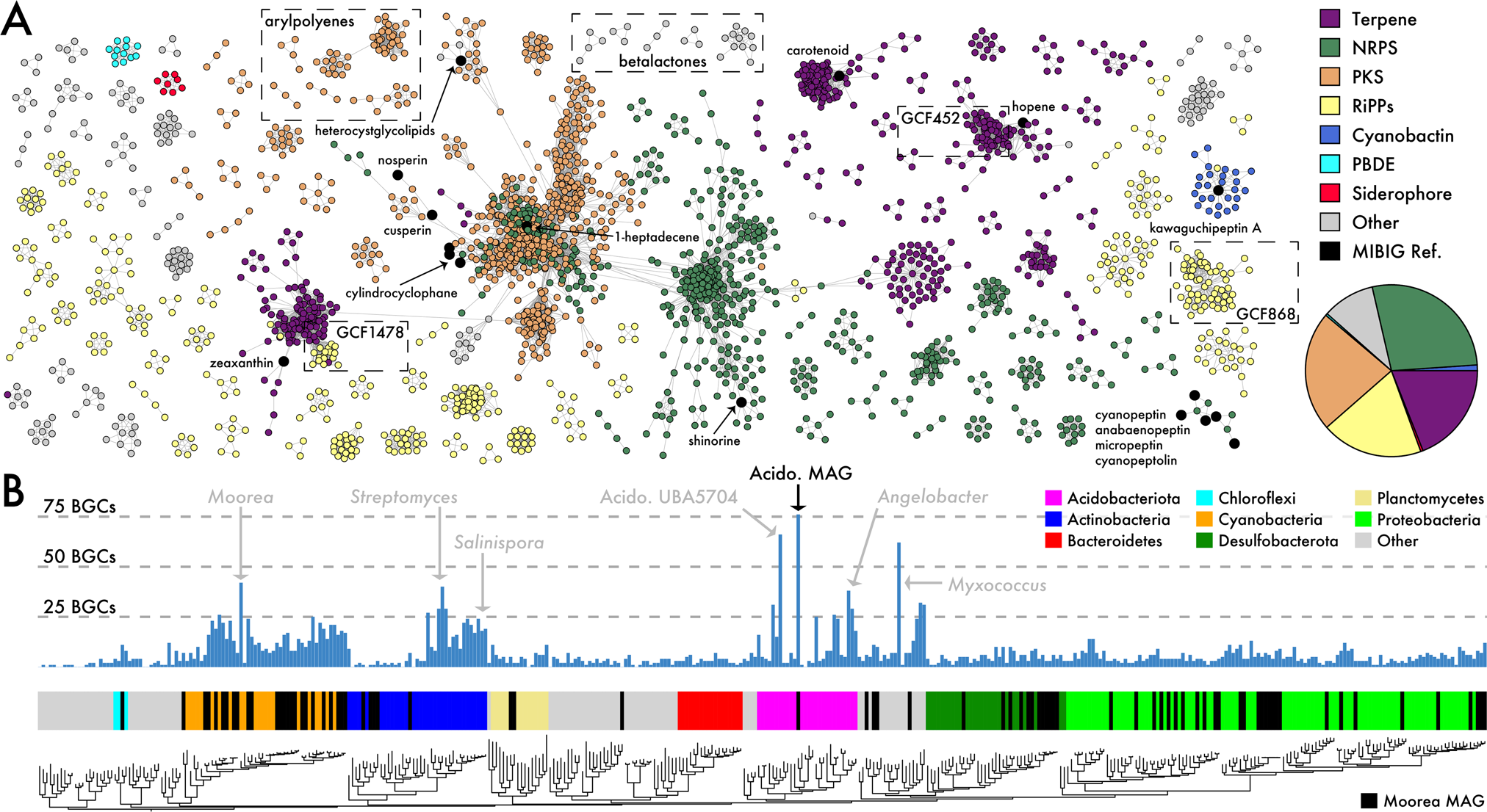 Fig. 2: Biosynthetic potential across marine sediment communities.