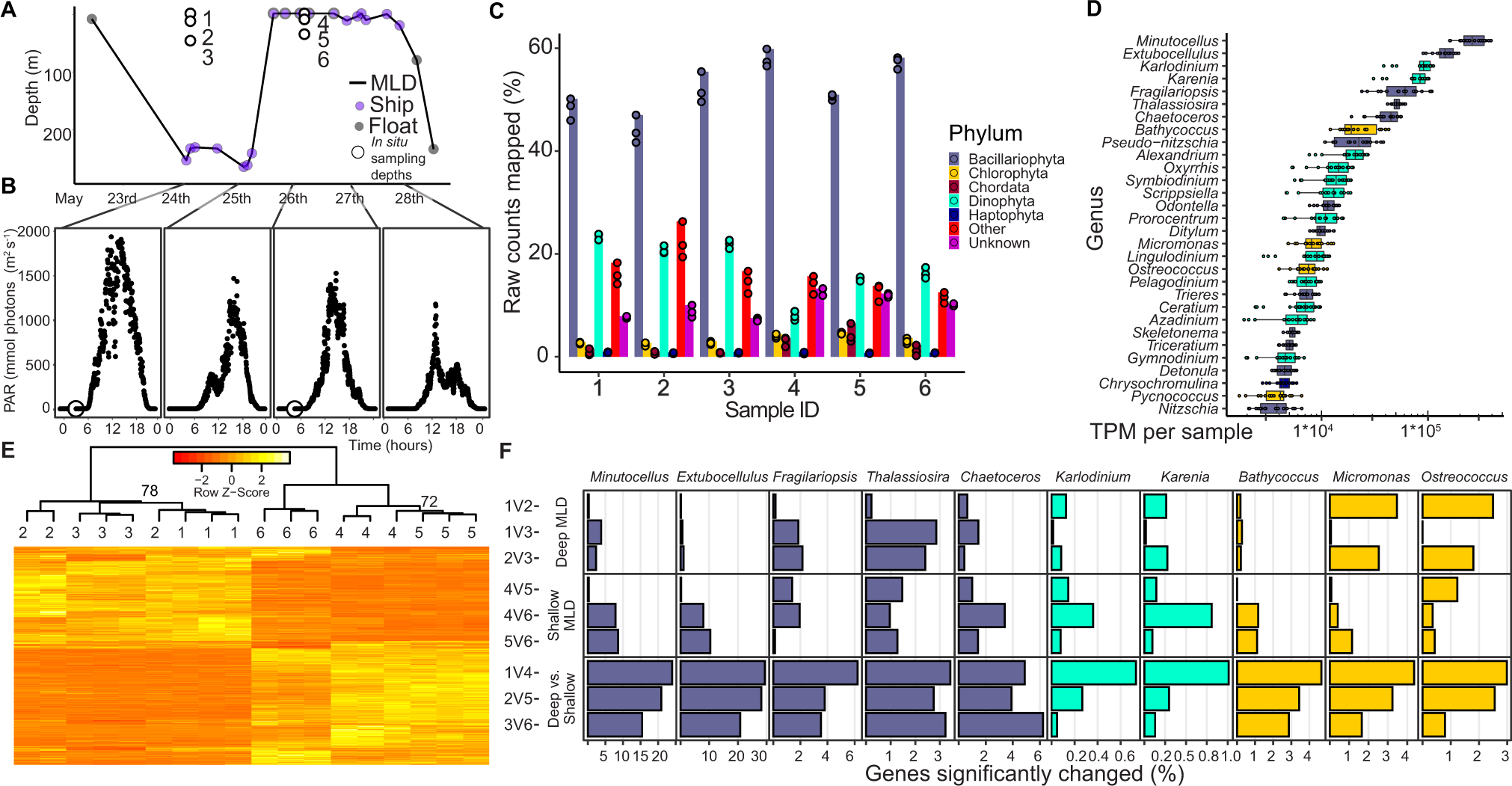 Sandia National Laboratories: News Releases : Getting bot responders into  shape