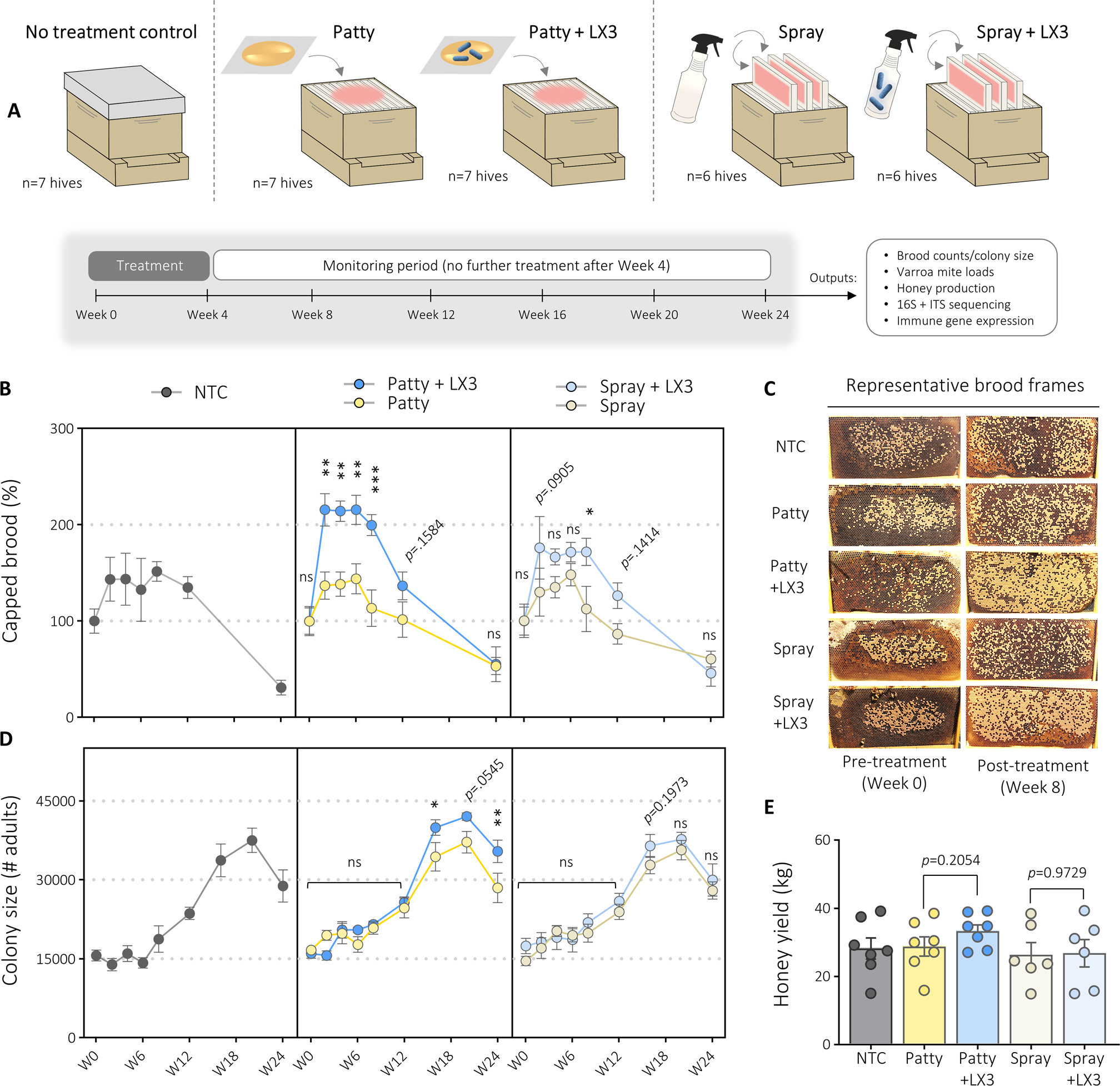 Delivery mechanism can enhance probiotic activity against honey bee  pathogens | The ISME Journal