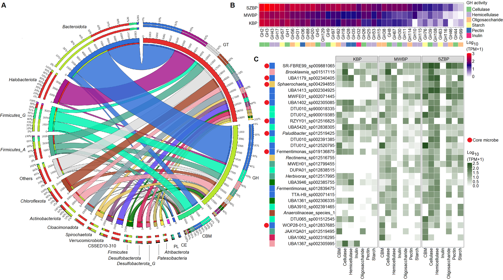 Fig. 7: CAZymes identified in metatranscriptomic data and associated taxa.