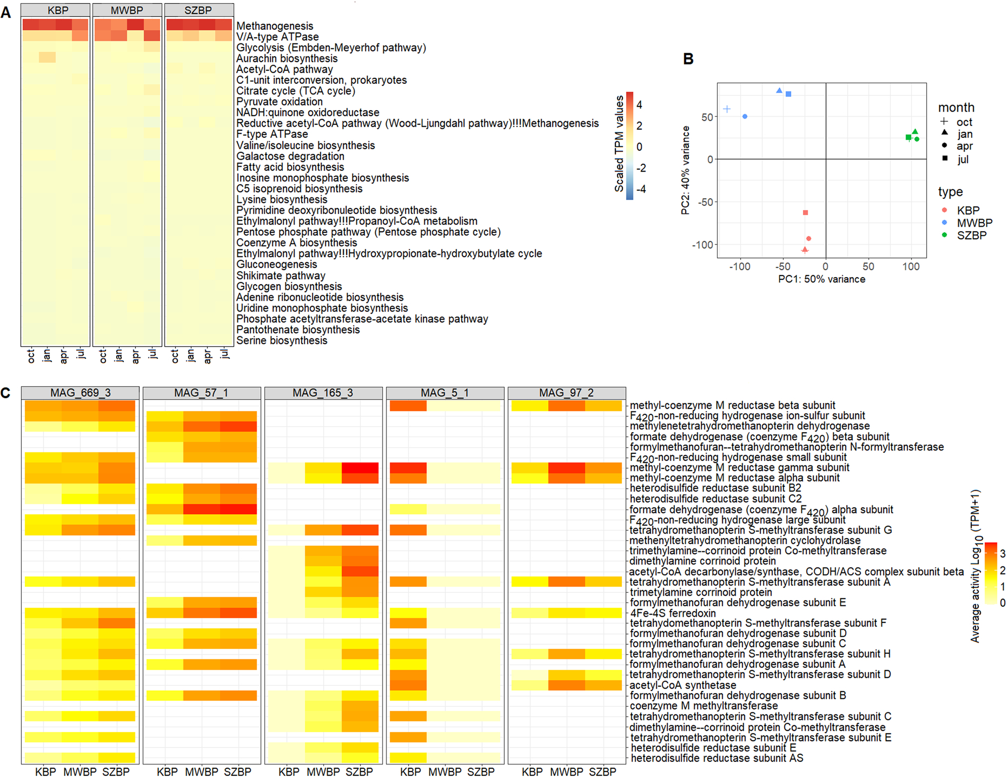 Fig. 8: Functional analysis of the three BPs.