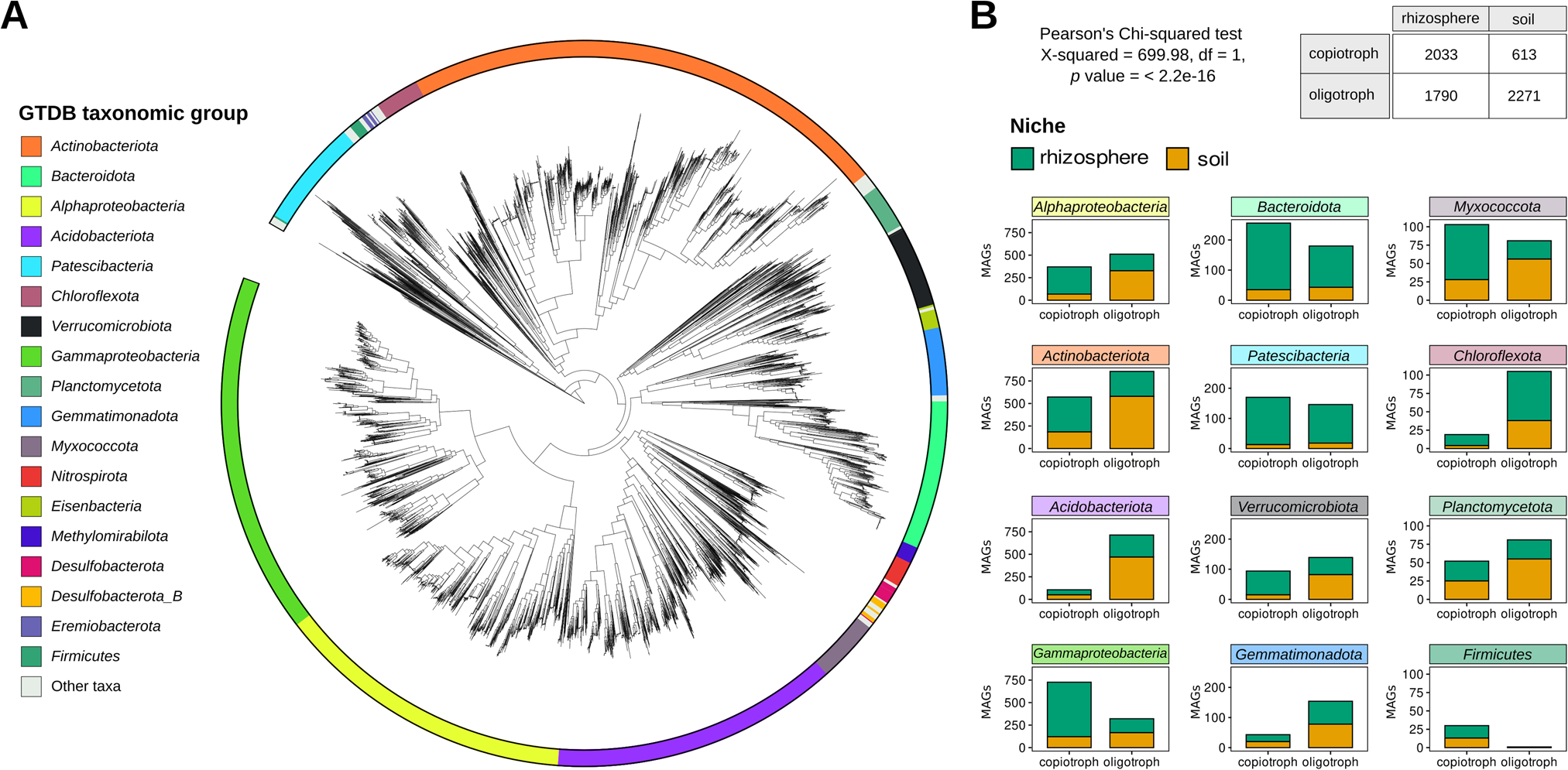 Fig. 2: MAGs taxonomy, niche, and growth rate status.