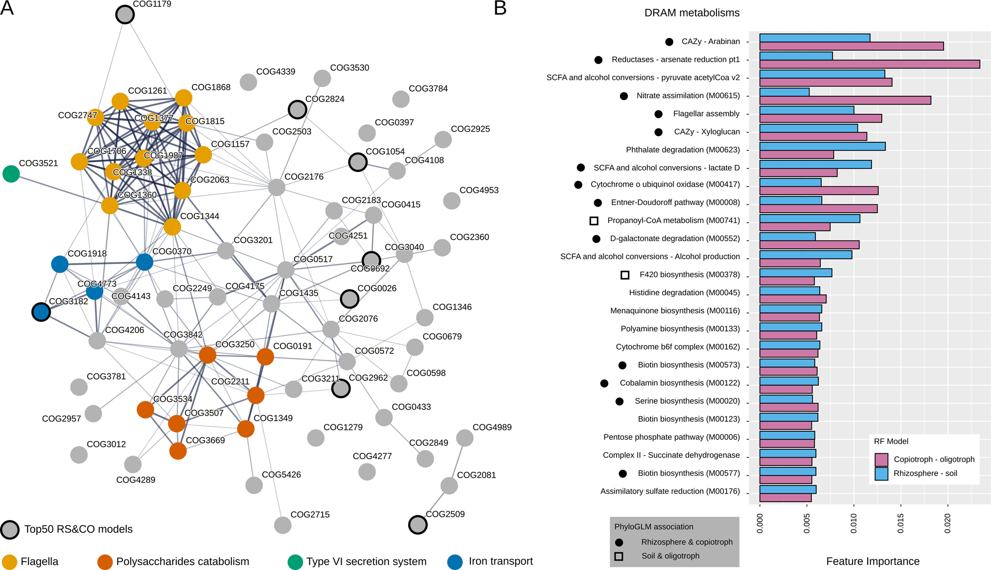 Fig. 5: Analysis of strongly rhizosphere and growth-rate associated functions.