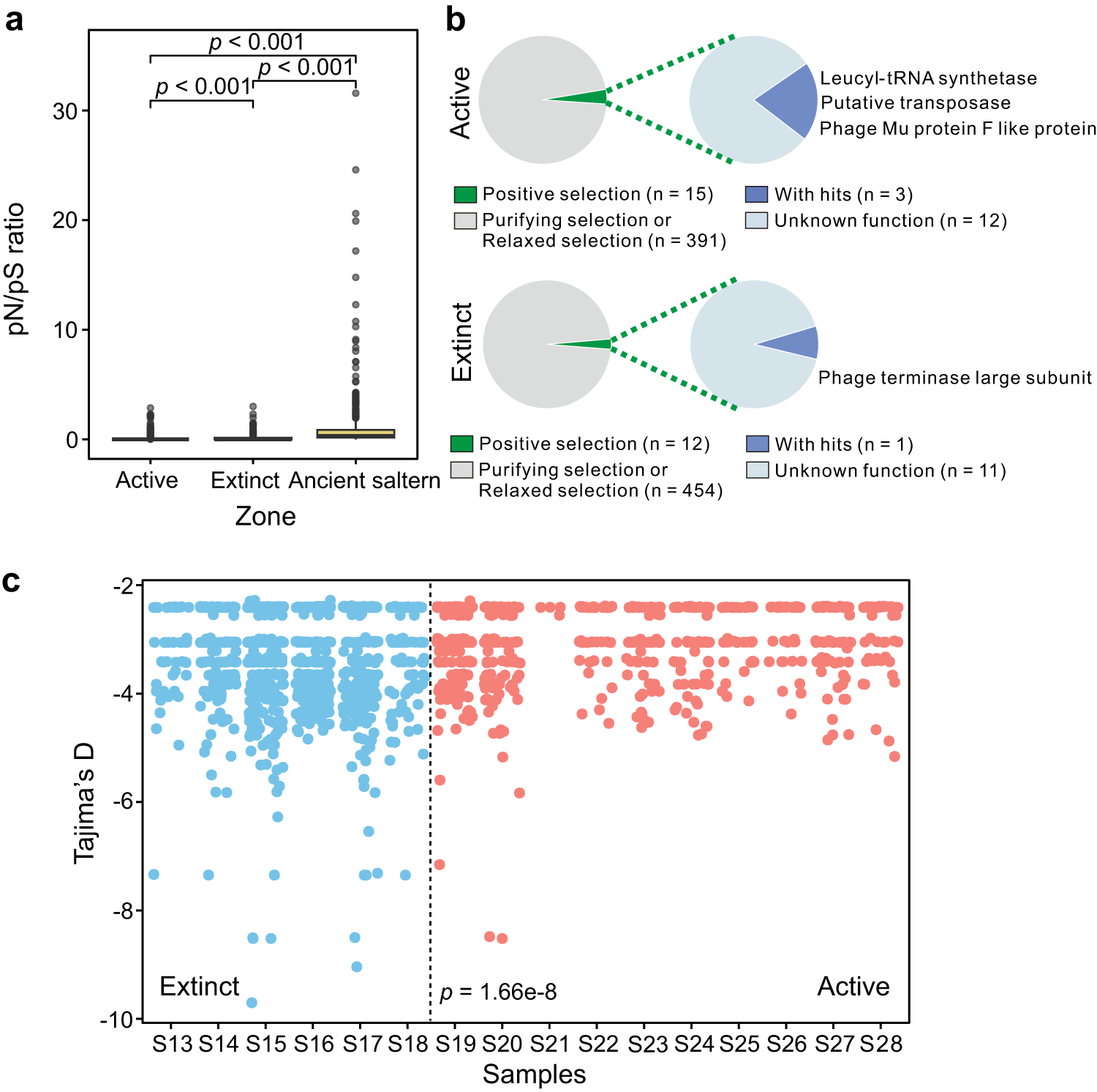 Fig. 5: Gene-wide evolutionary metrics of cold seep viral populations.