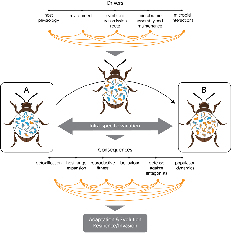 https://media.springernature.com/full/springer-static/image/art%3A10.1038%2Fs41396-023-01500-2/MediaObjects/41396_2023_1500_Figa_HTML.png