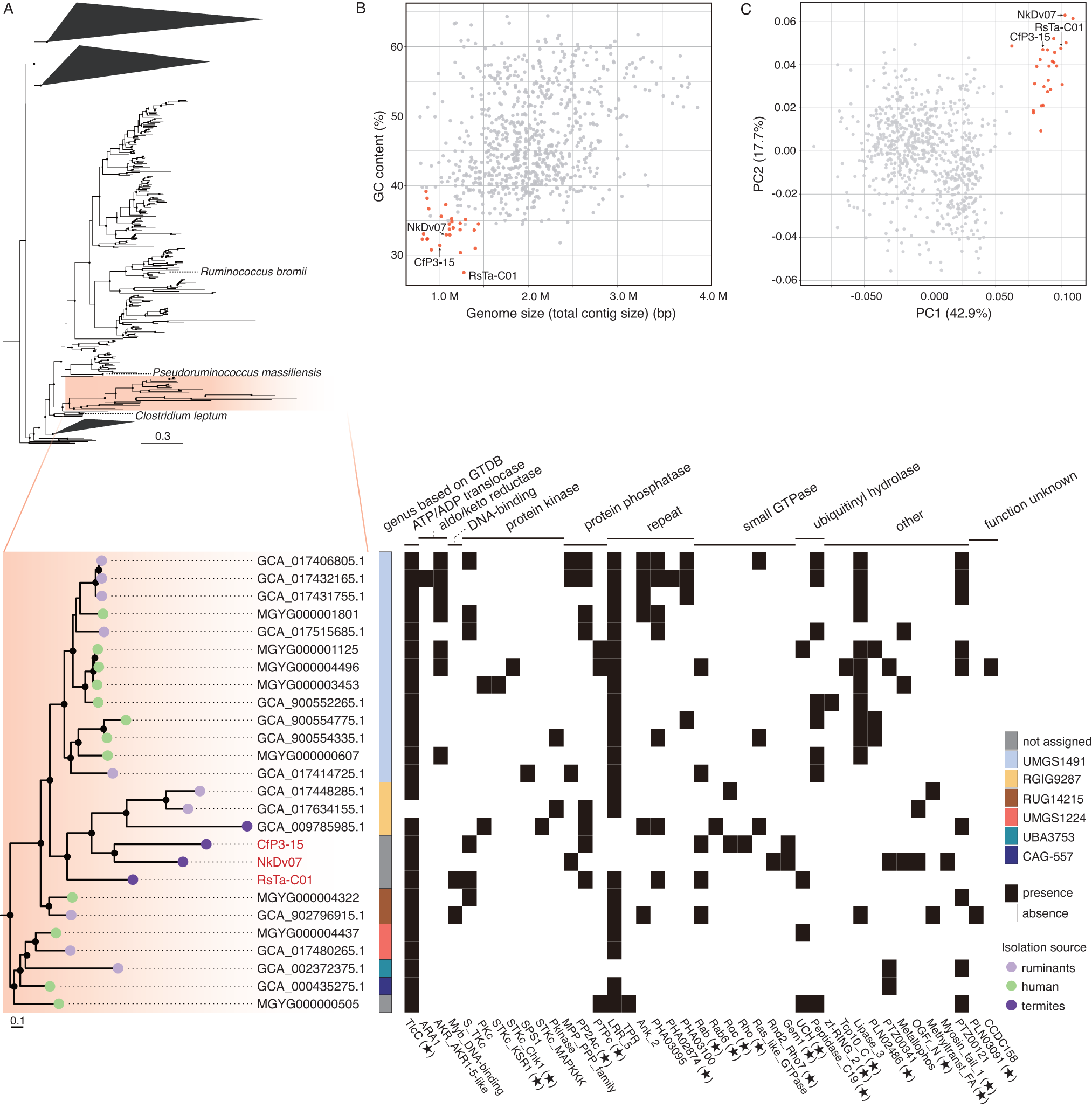 Fig. 5: Genomic signatures of Clostridia belonging to the small genome clade.